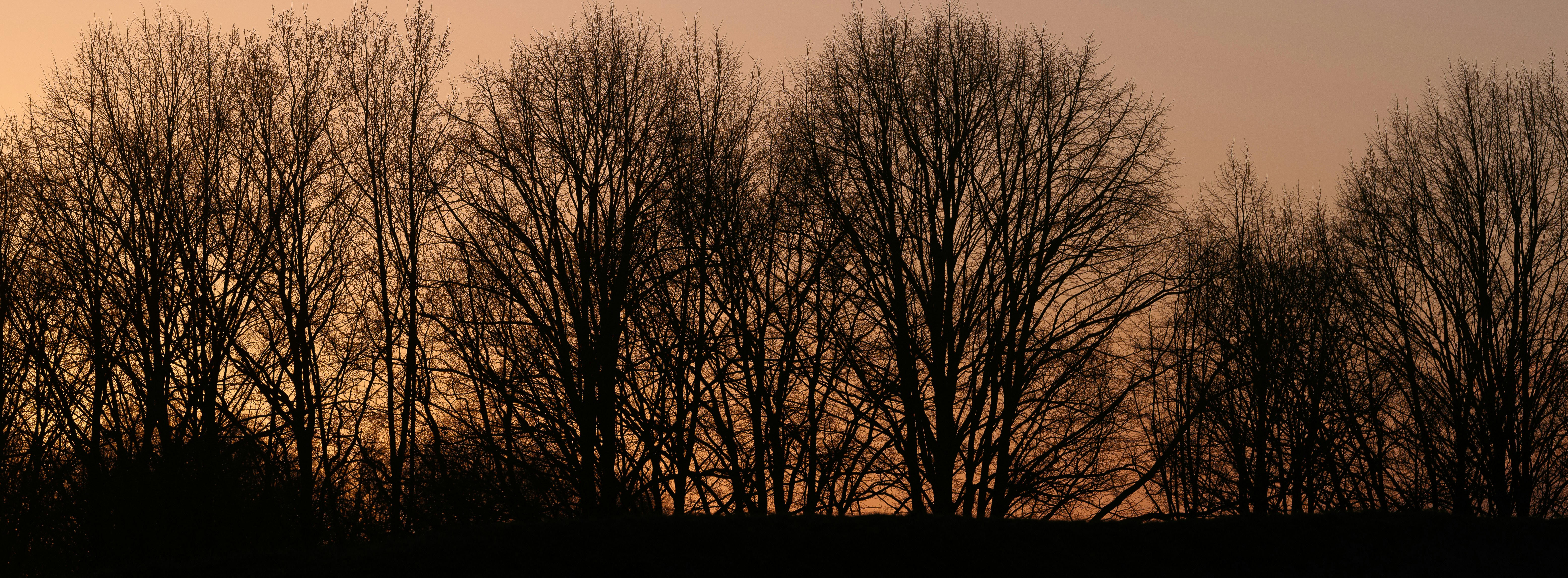 Photo by haberdoedas