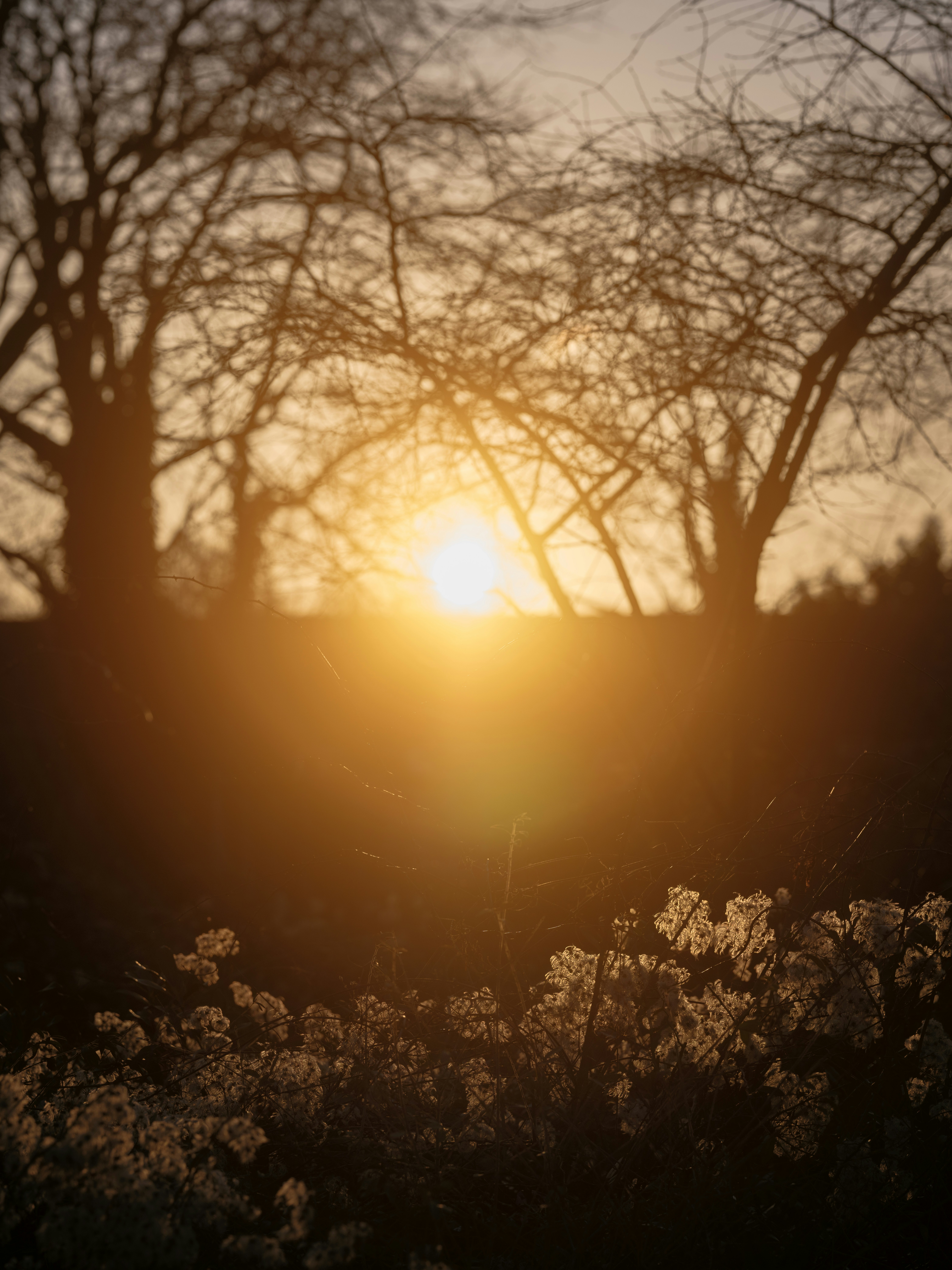 Photo by haberdoedas