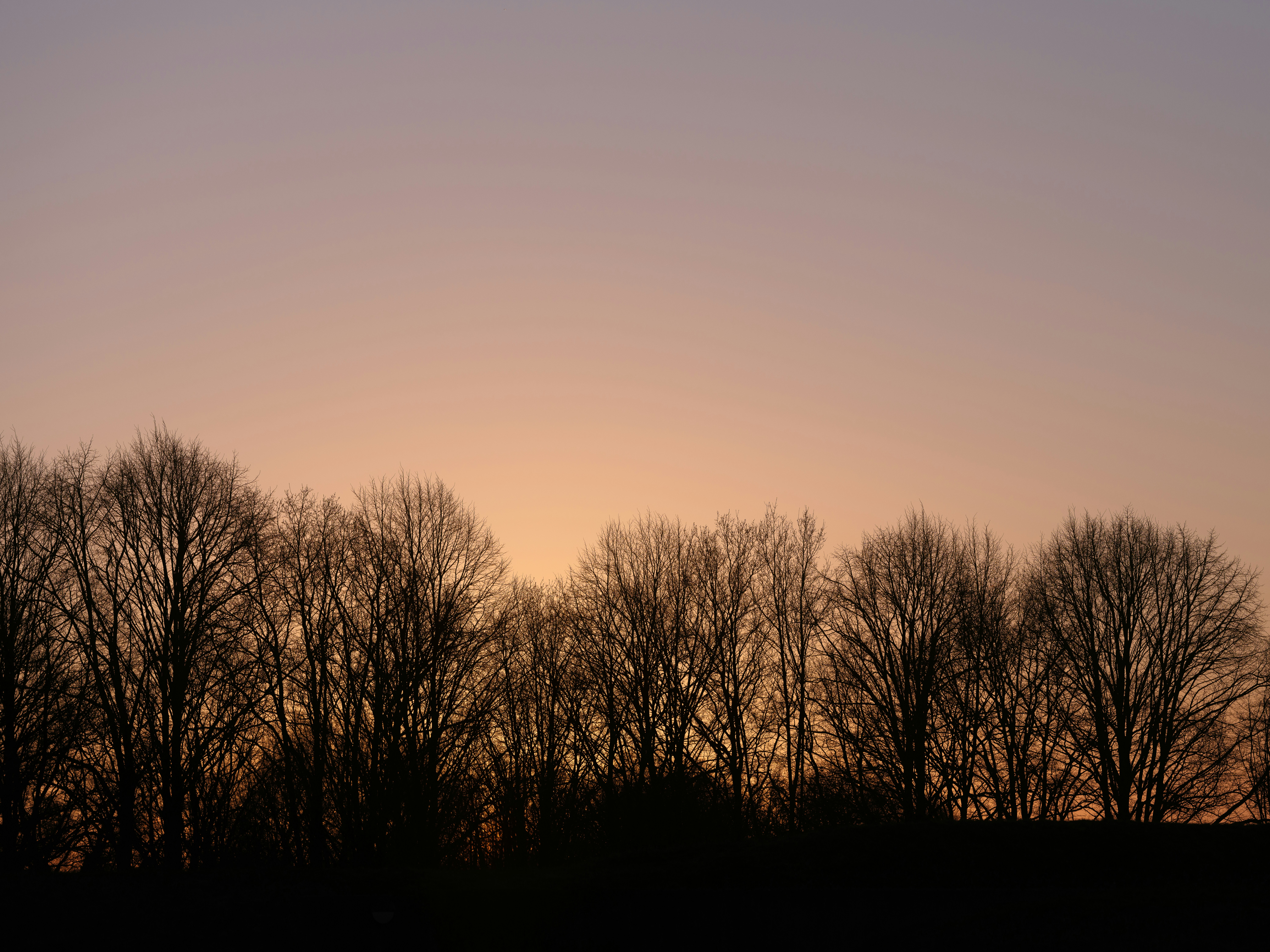 Photo by haberdoedas