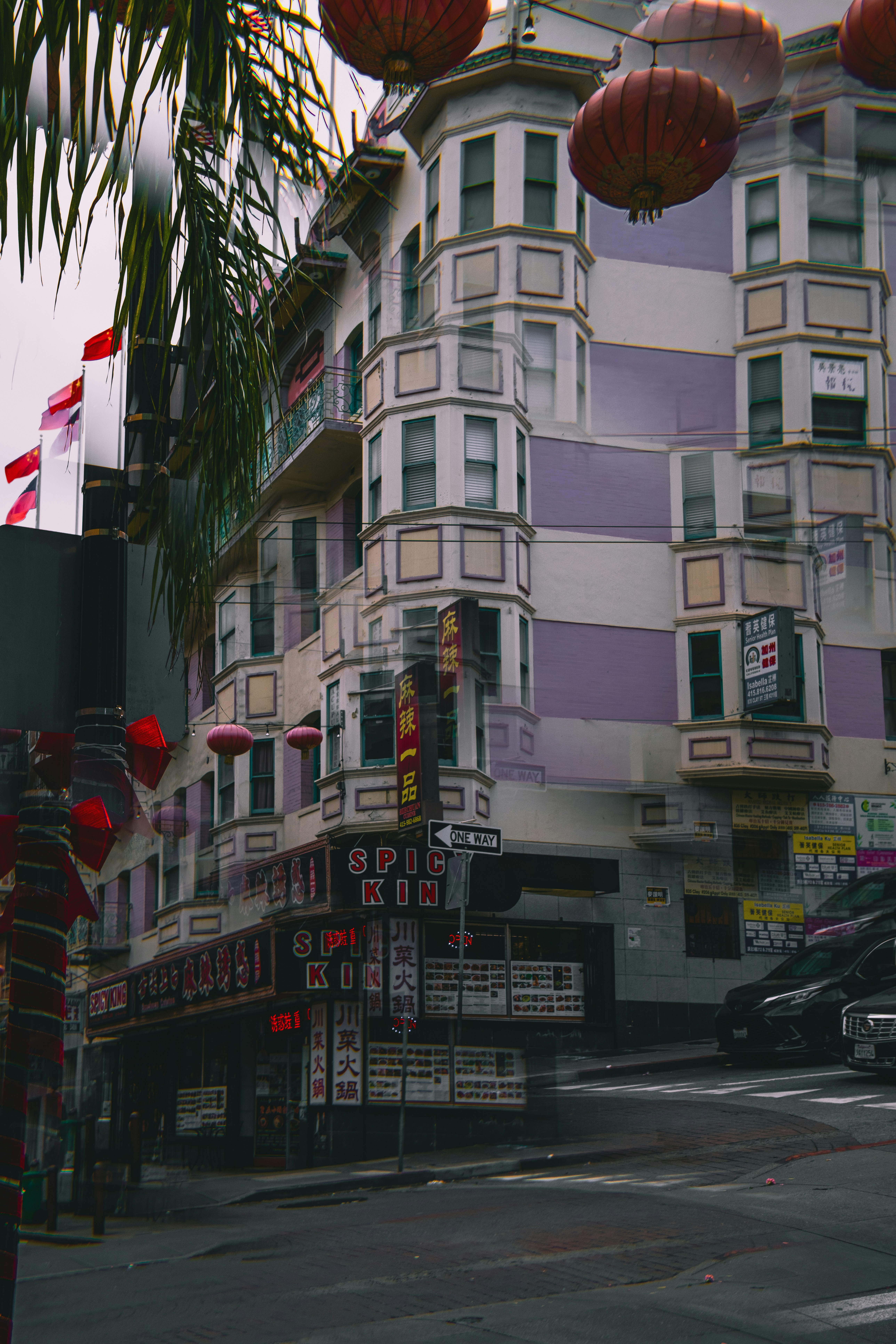 A city street with a tall building and palm trees photo – Free Car ...