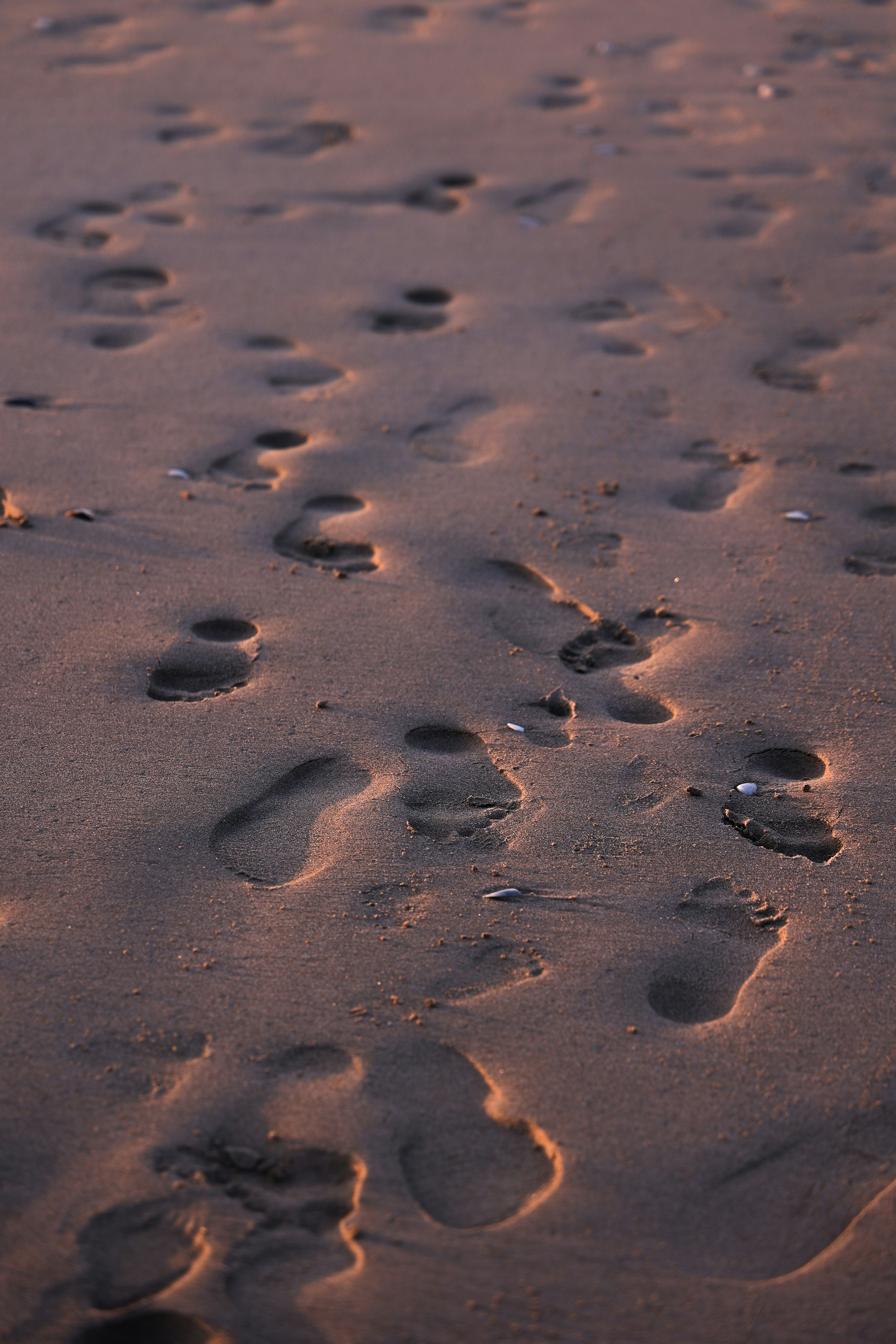 Photo by larisarunova