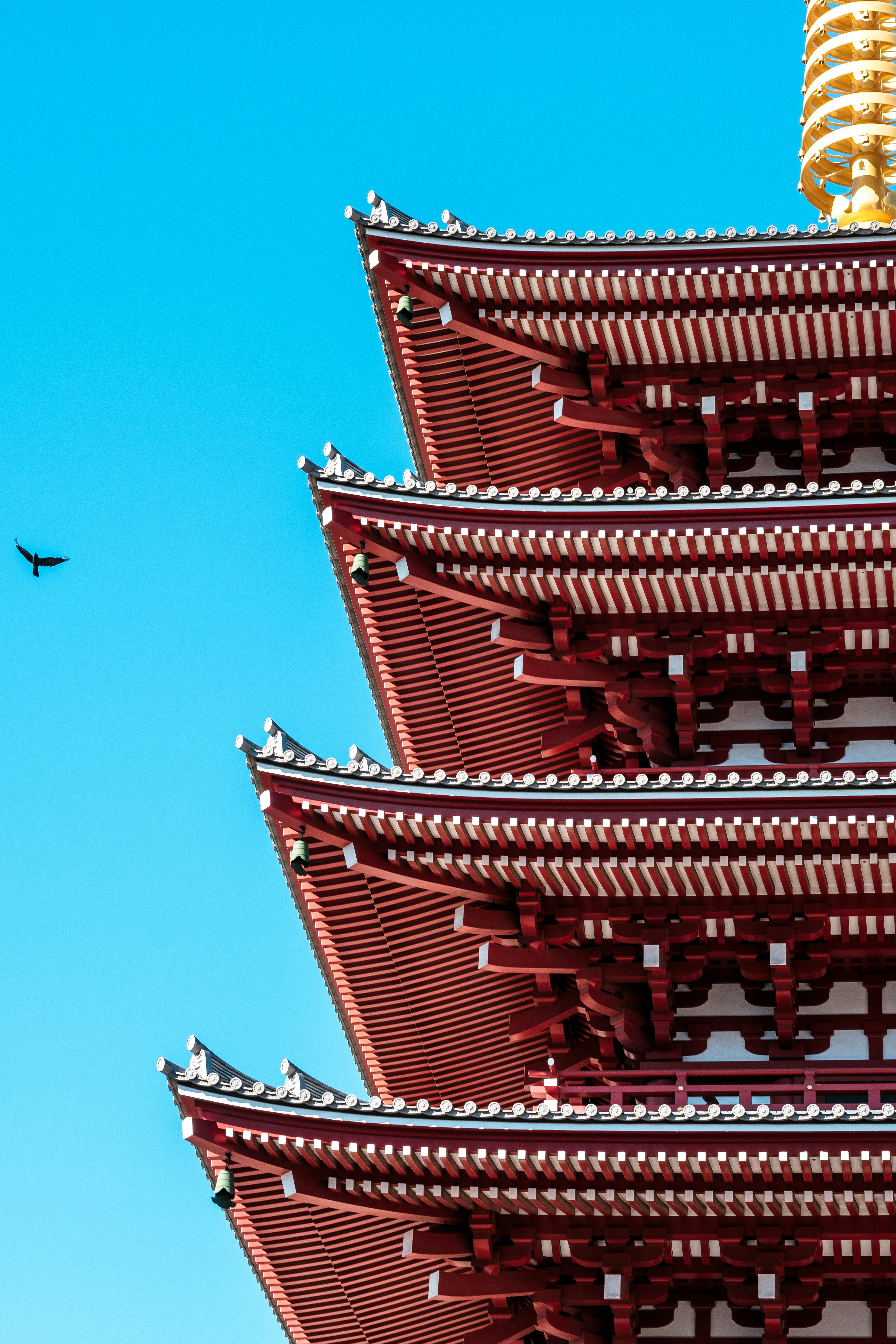 A tall red building with a bird flying by