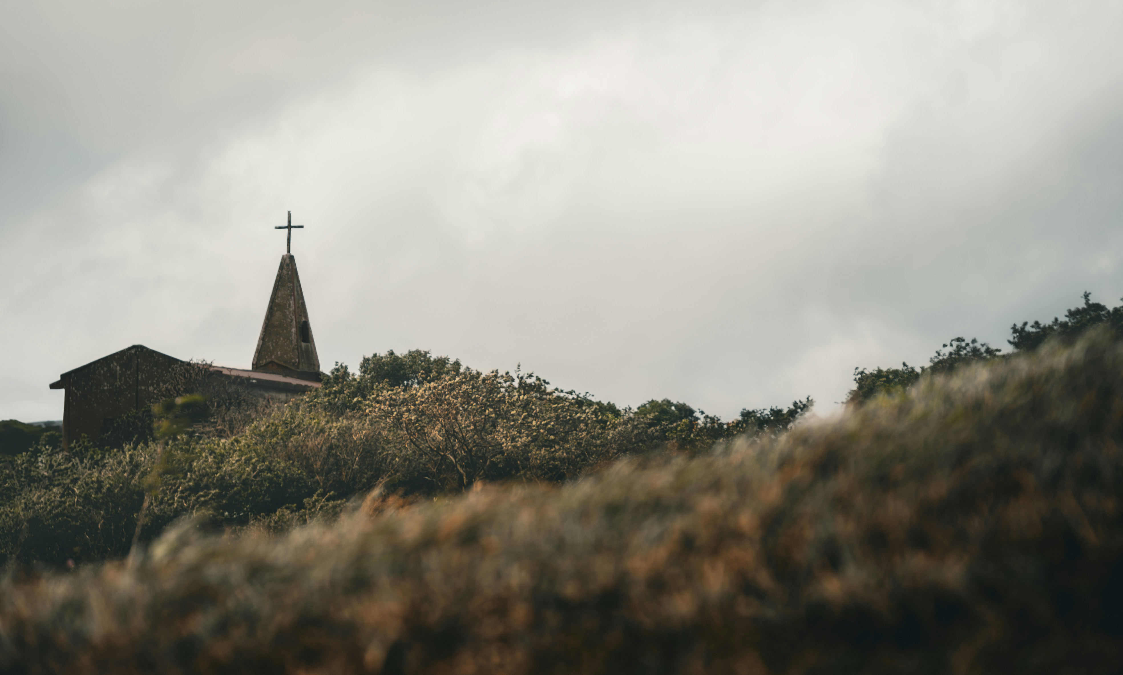 Photo by cinematic_life_nic