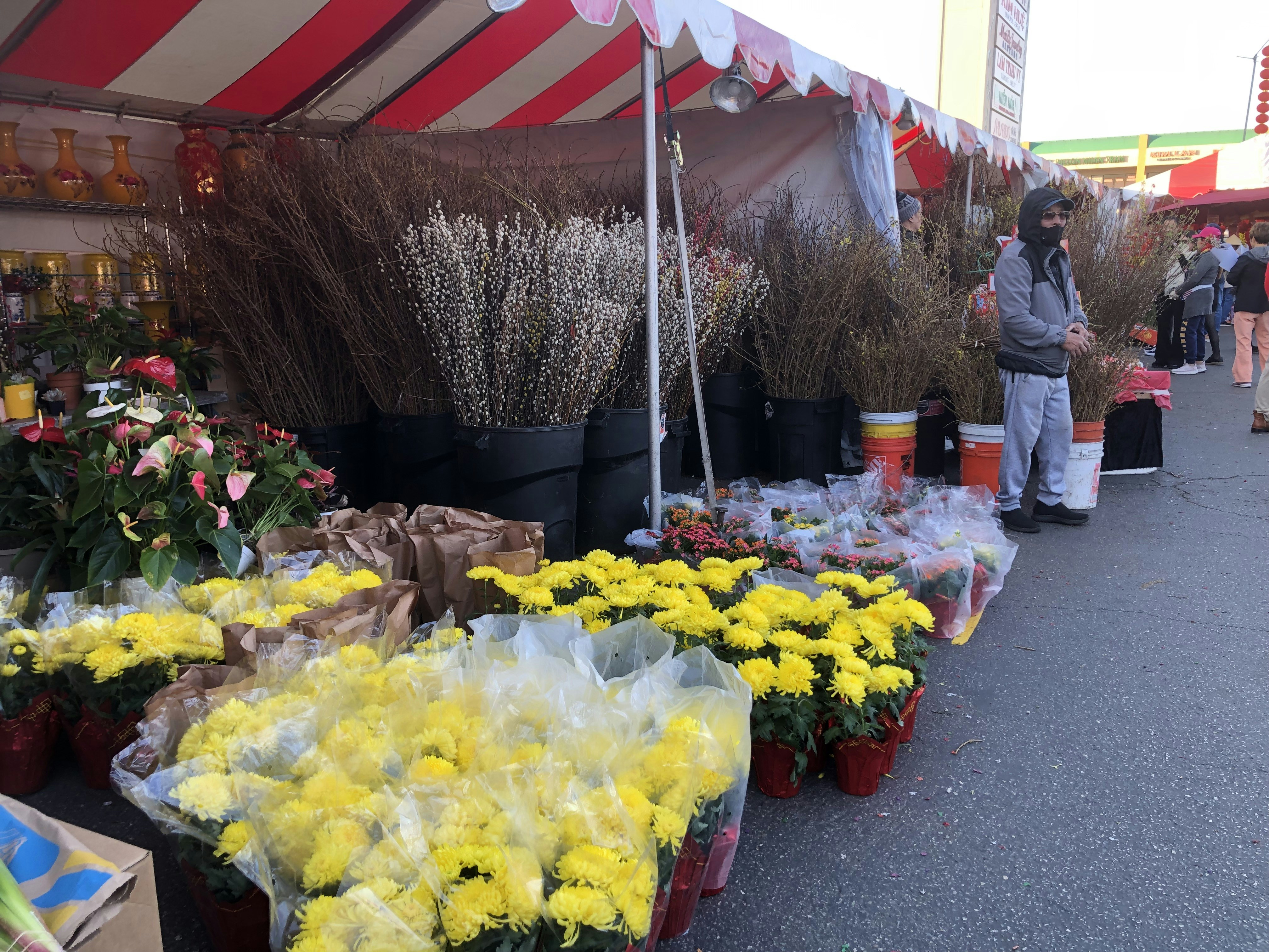A bunch of flowers that are on a table