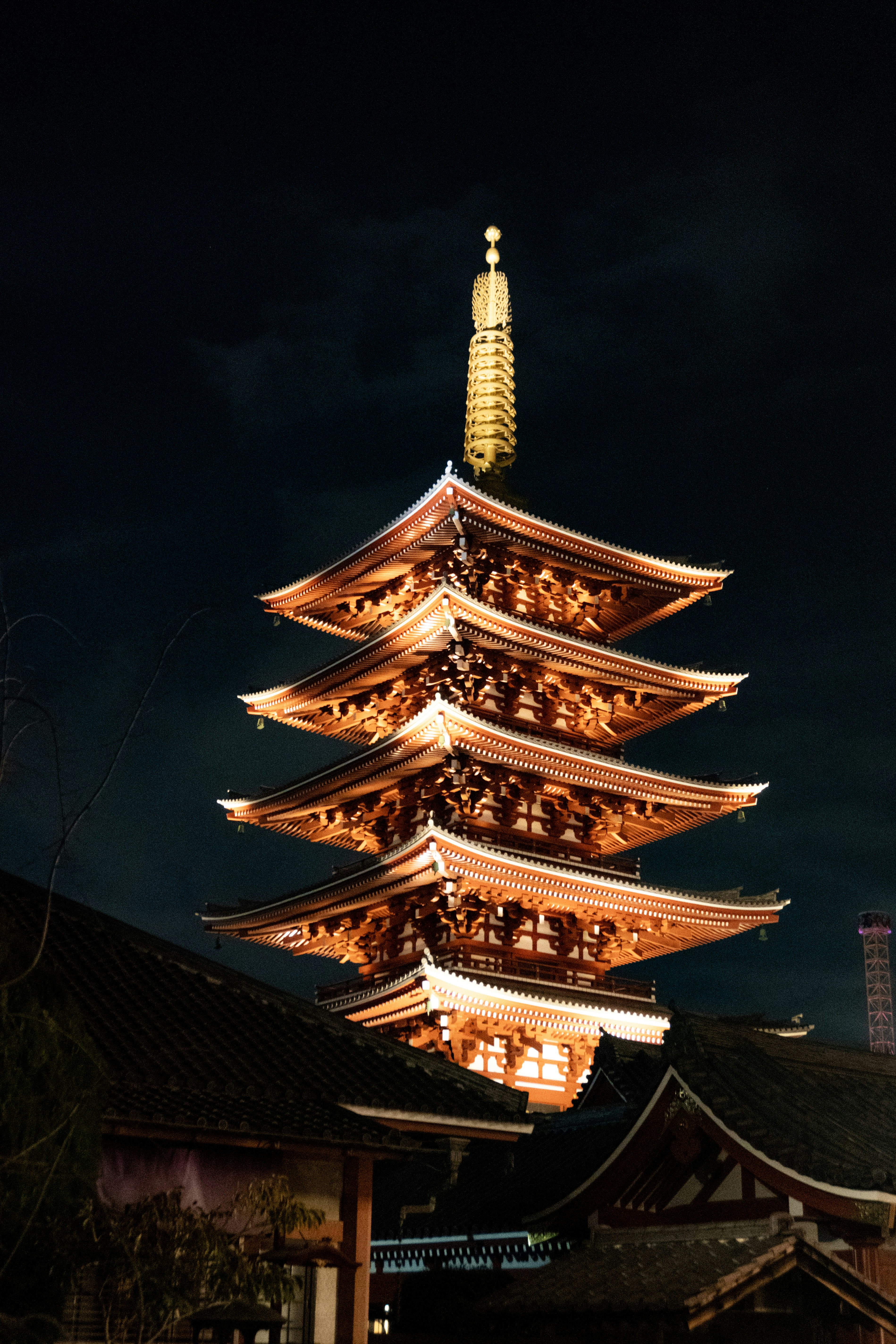 Photo by hidingninjatokyo