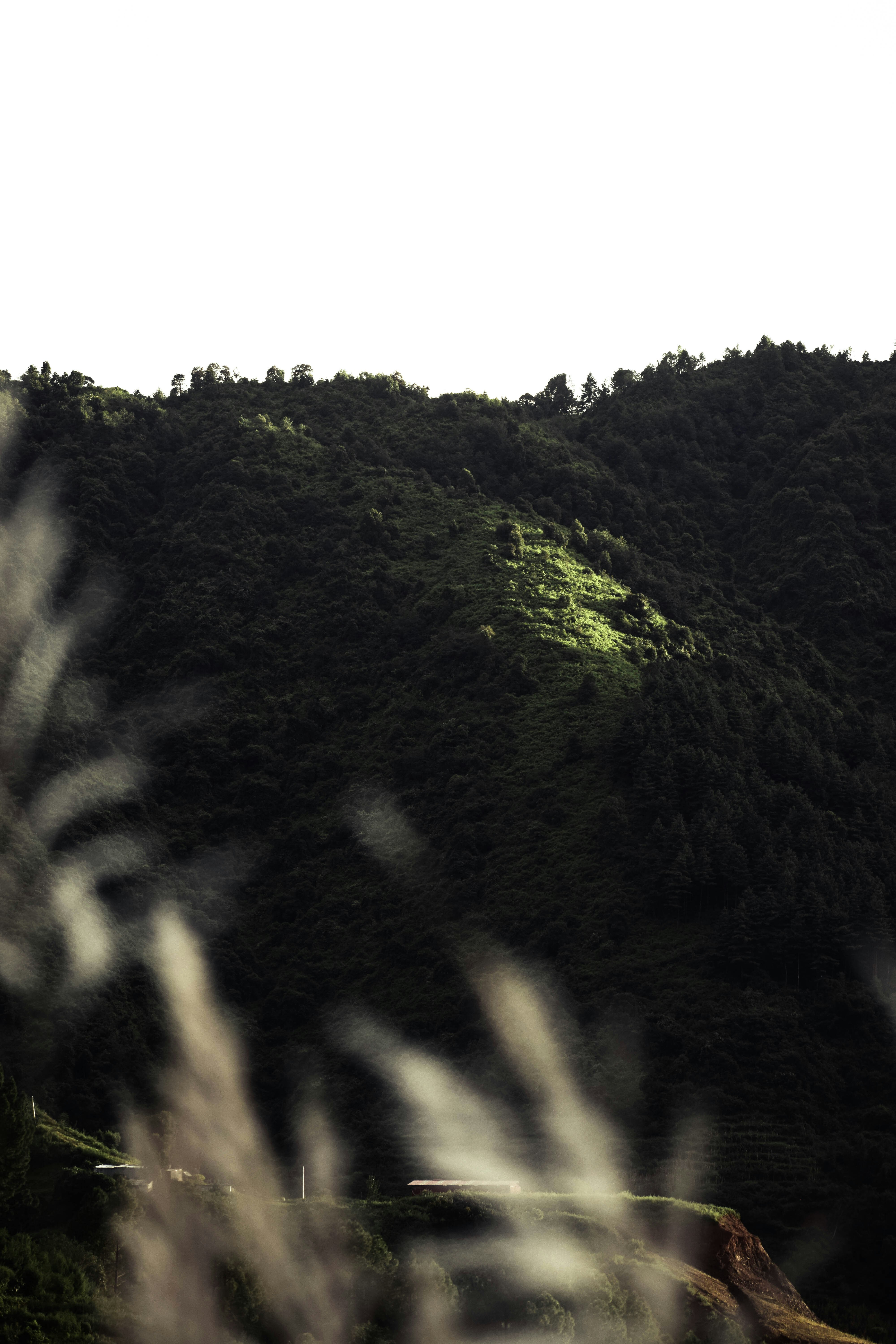 Photo by maskedemann