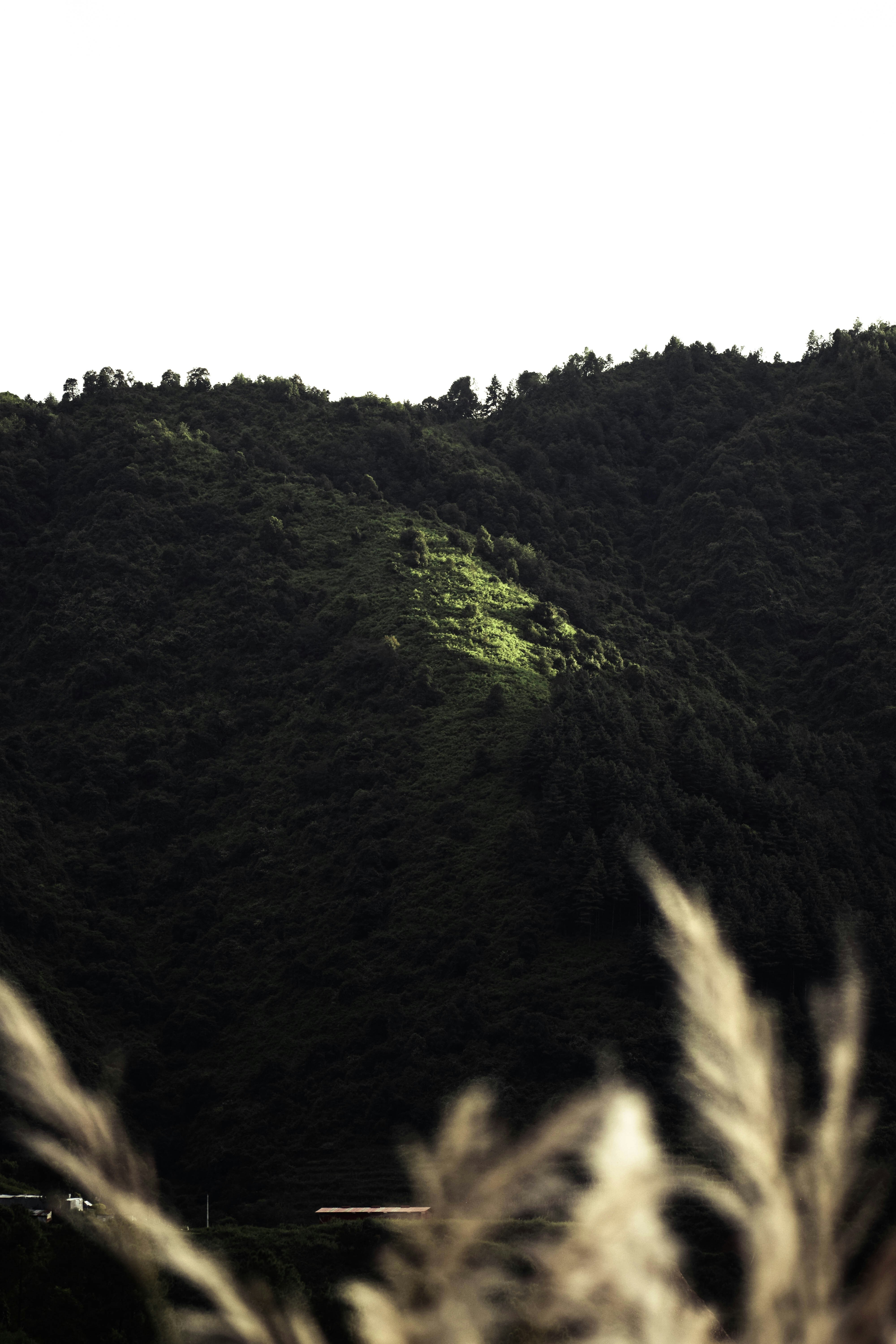 Photo by maskedemann