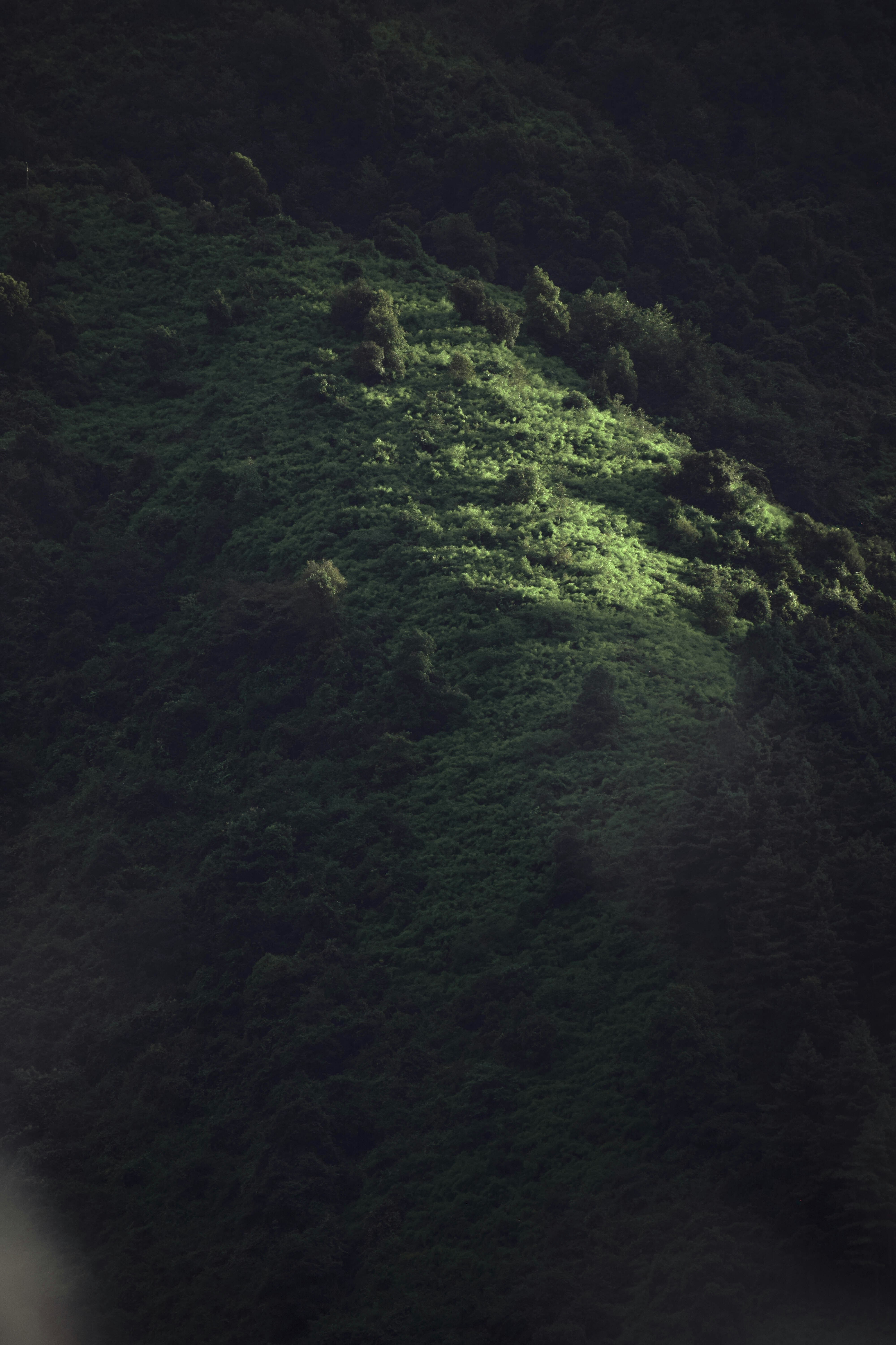 Photo by maskedemann