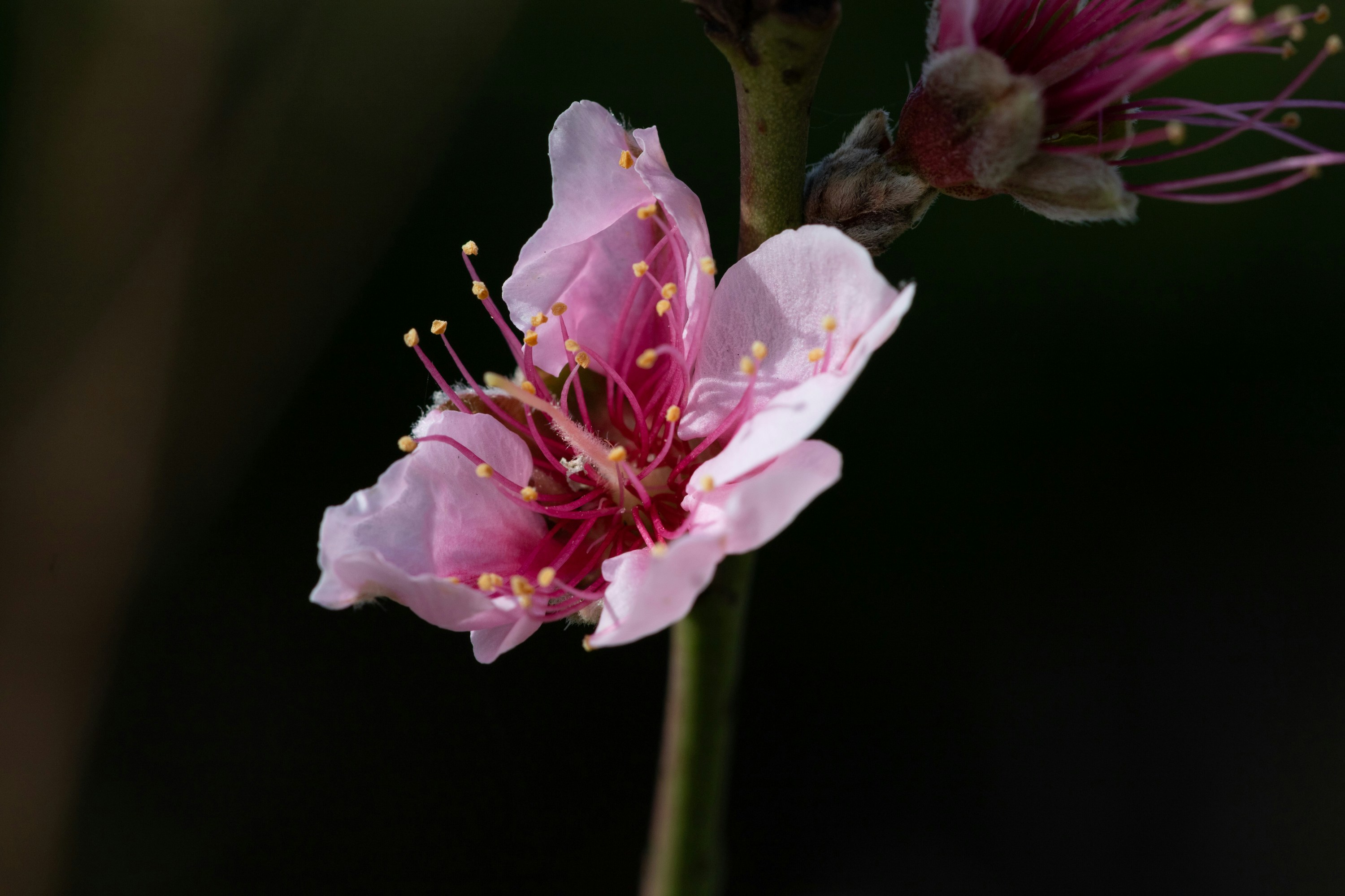 Photo by thirdcoastdad