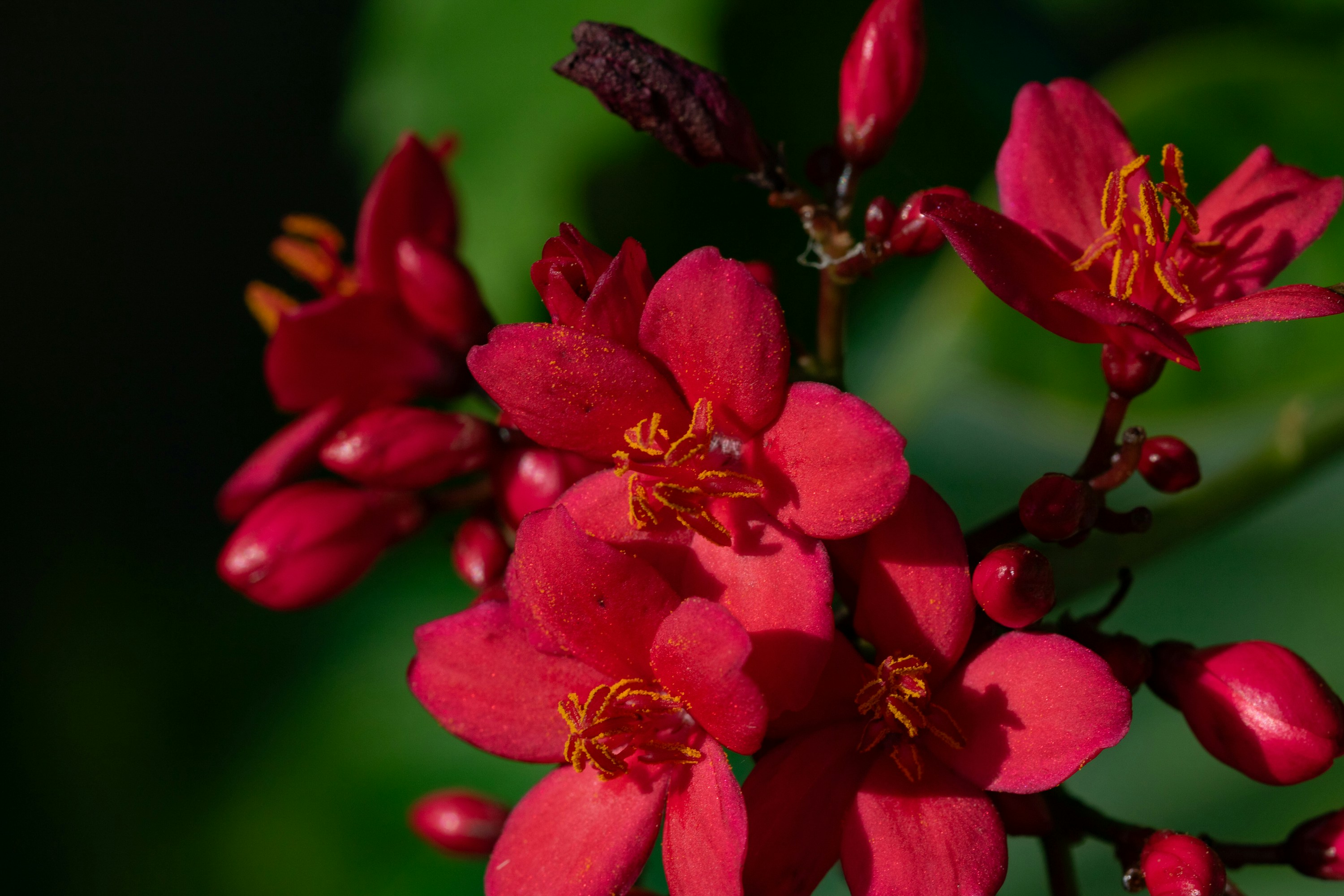 Photo by thirdcoastdad