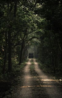 A truck driving down a dirt road surrounded by trees