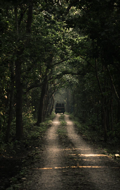 Babai Valley Bardia rhino habitat