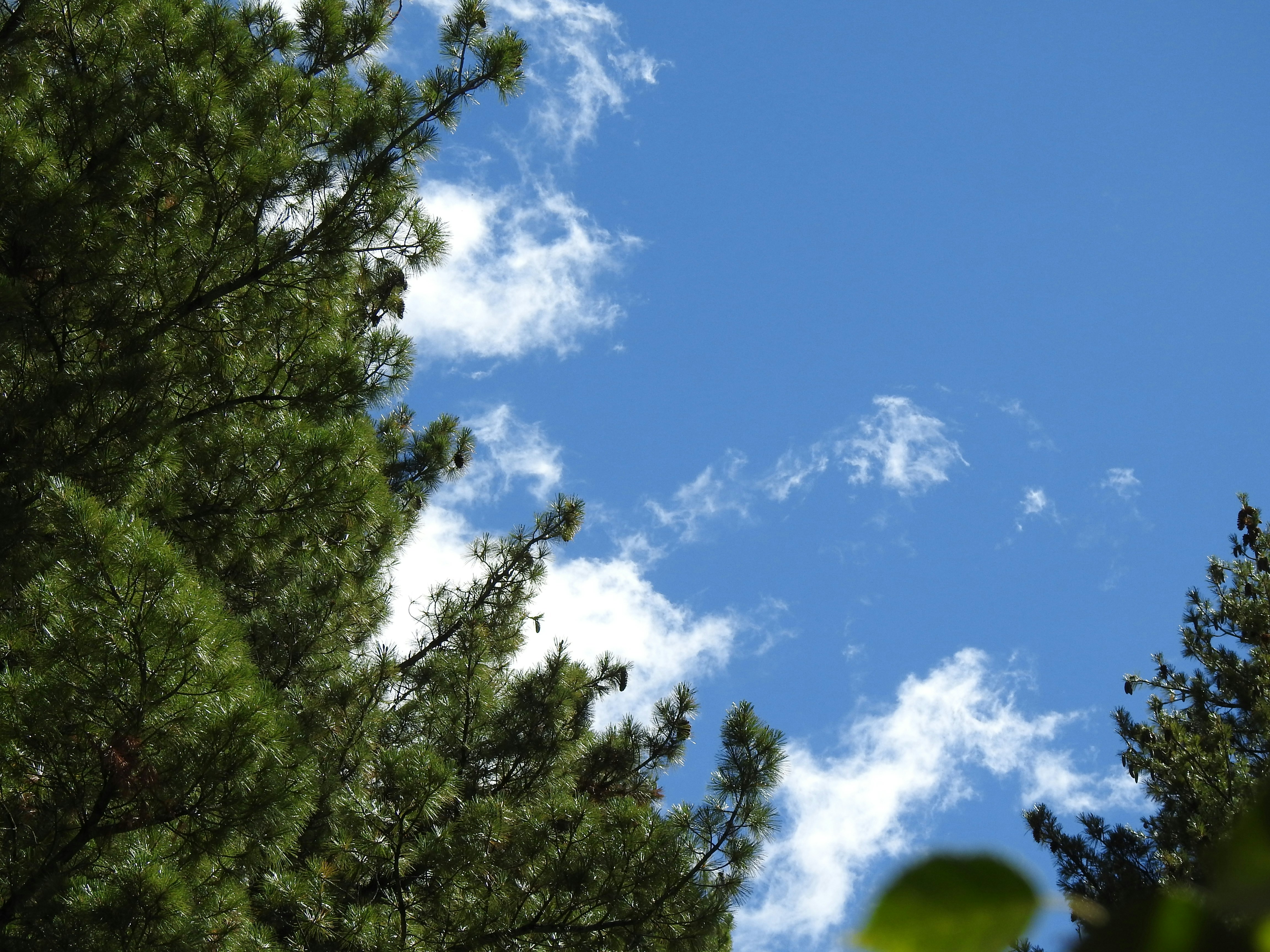 Photo by aditipanatu95