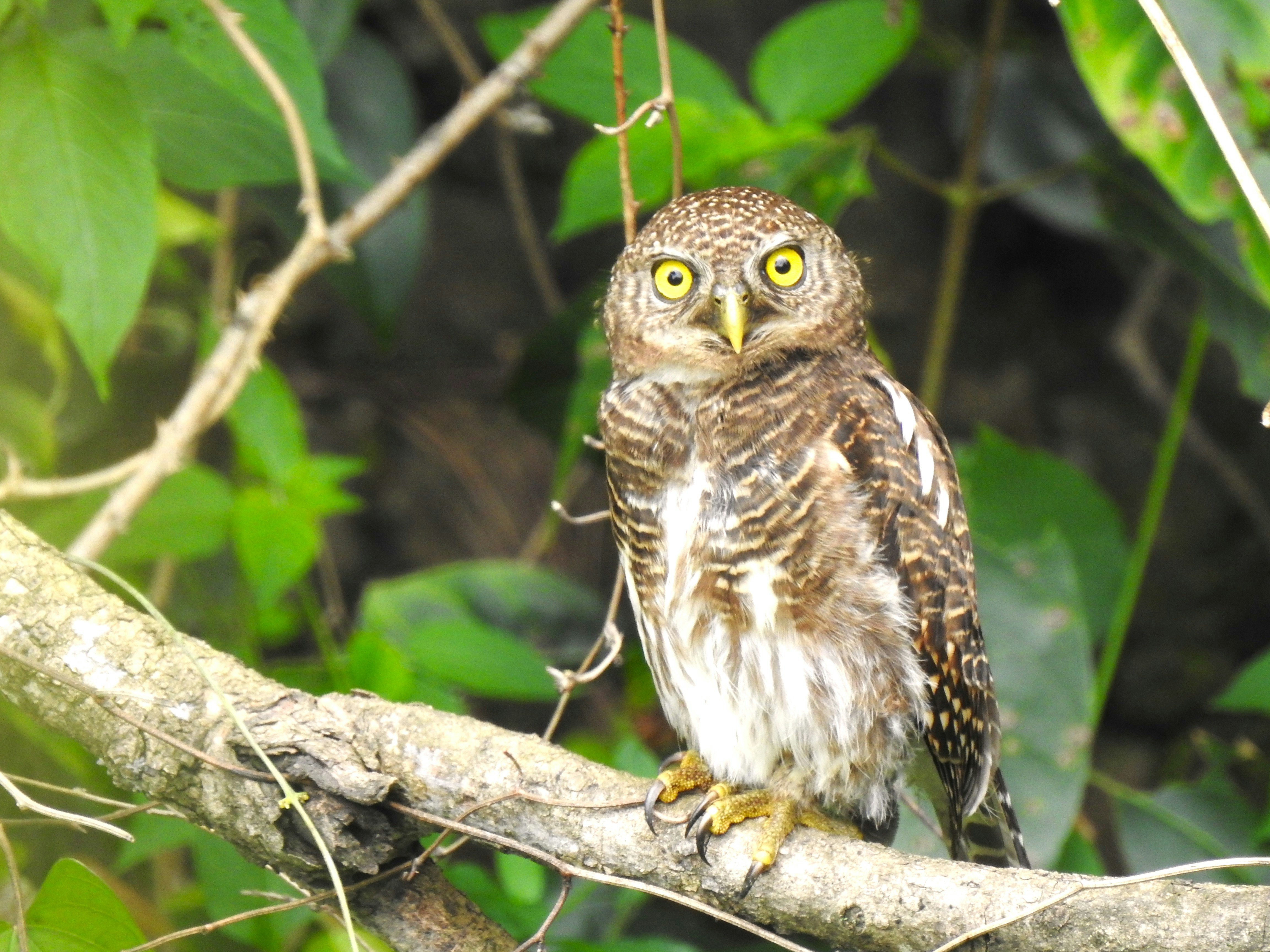 Photo by aditipanatu95