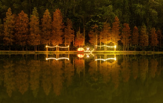 A lake surrounded by lots of trees with lights on it