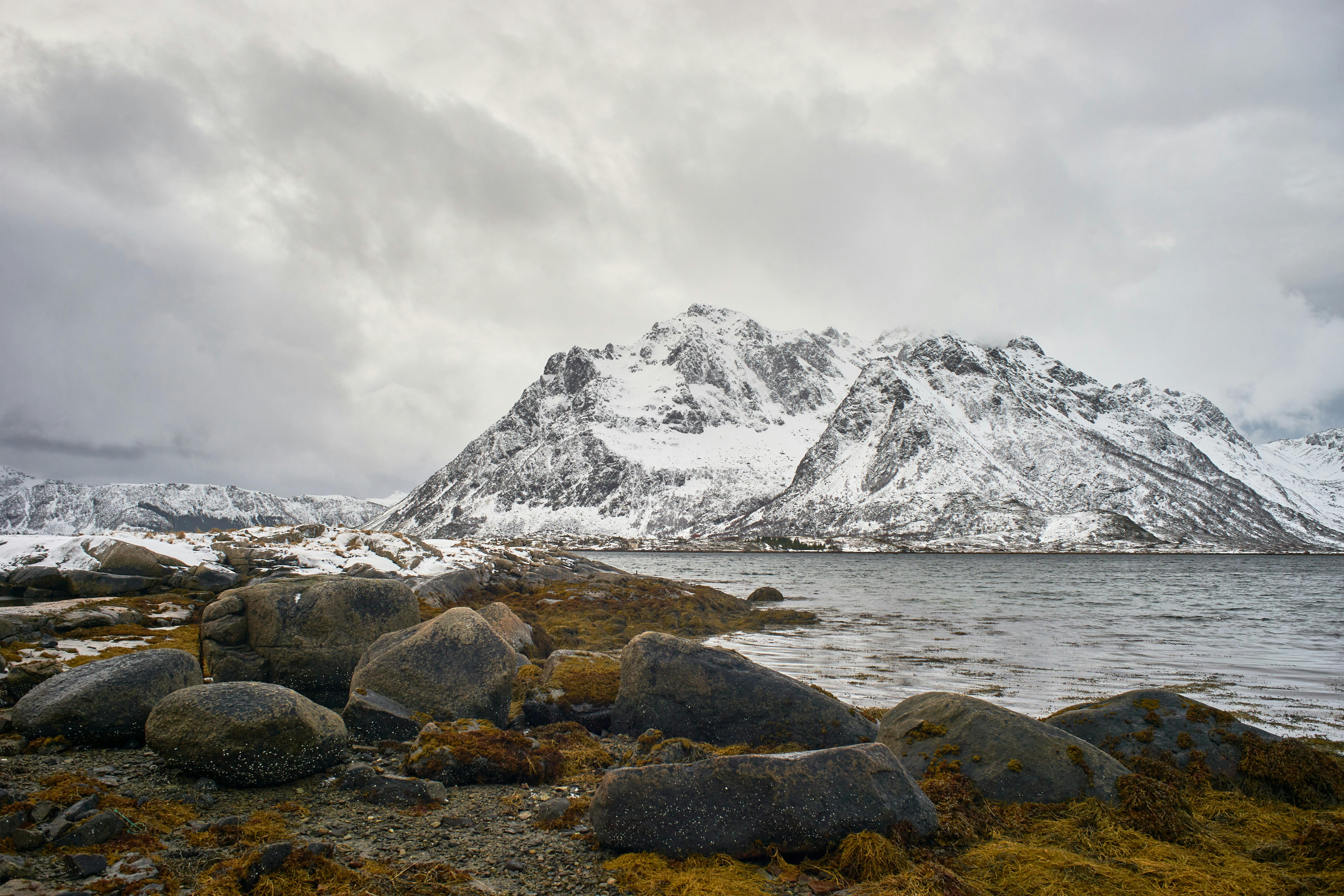 Photo by wolfgang_hasselmann