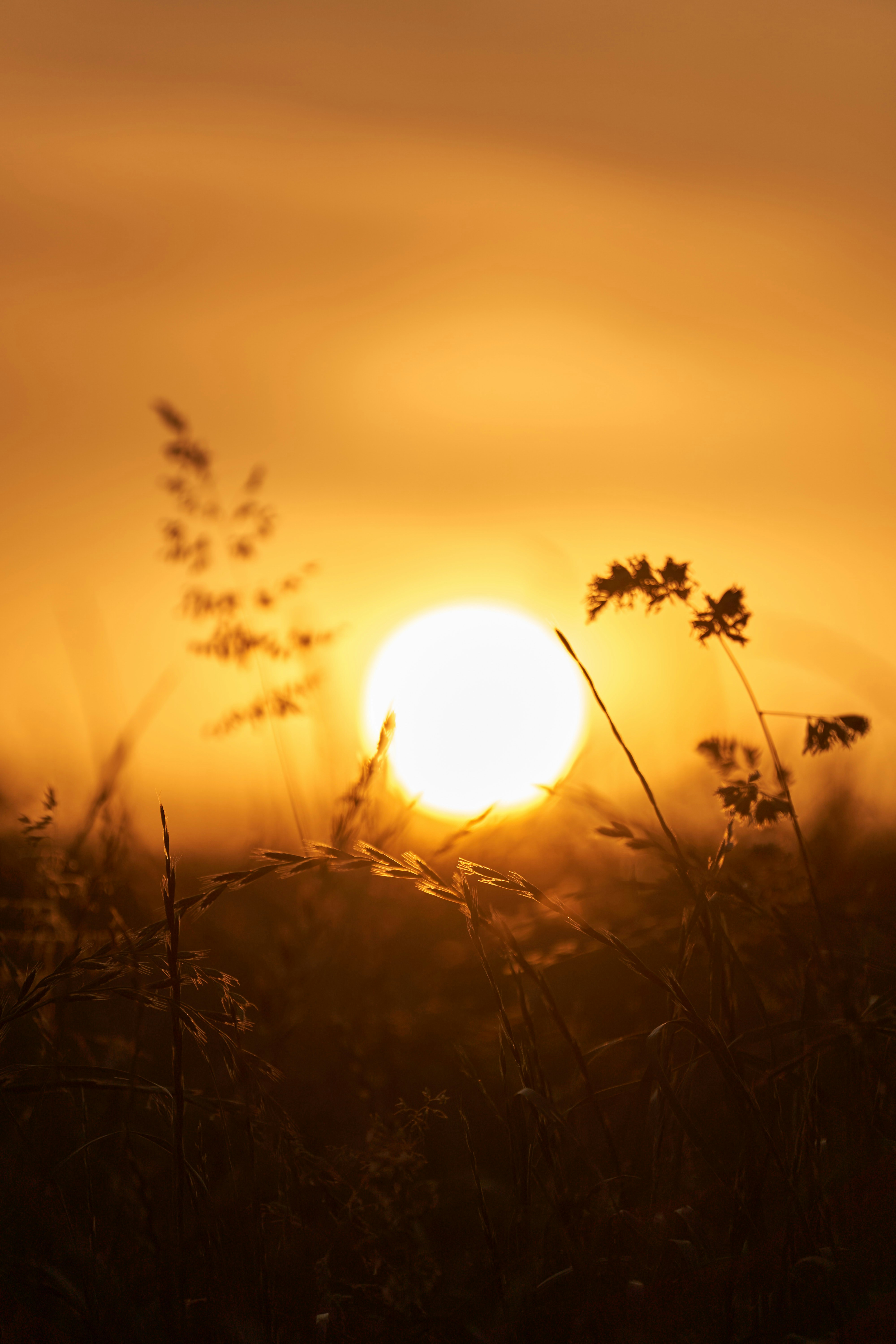 Accompagner votre lumière - Femme en méditation avec aura colorée