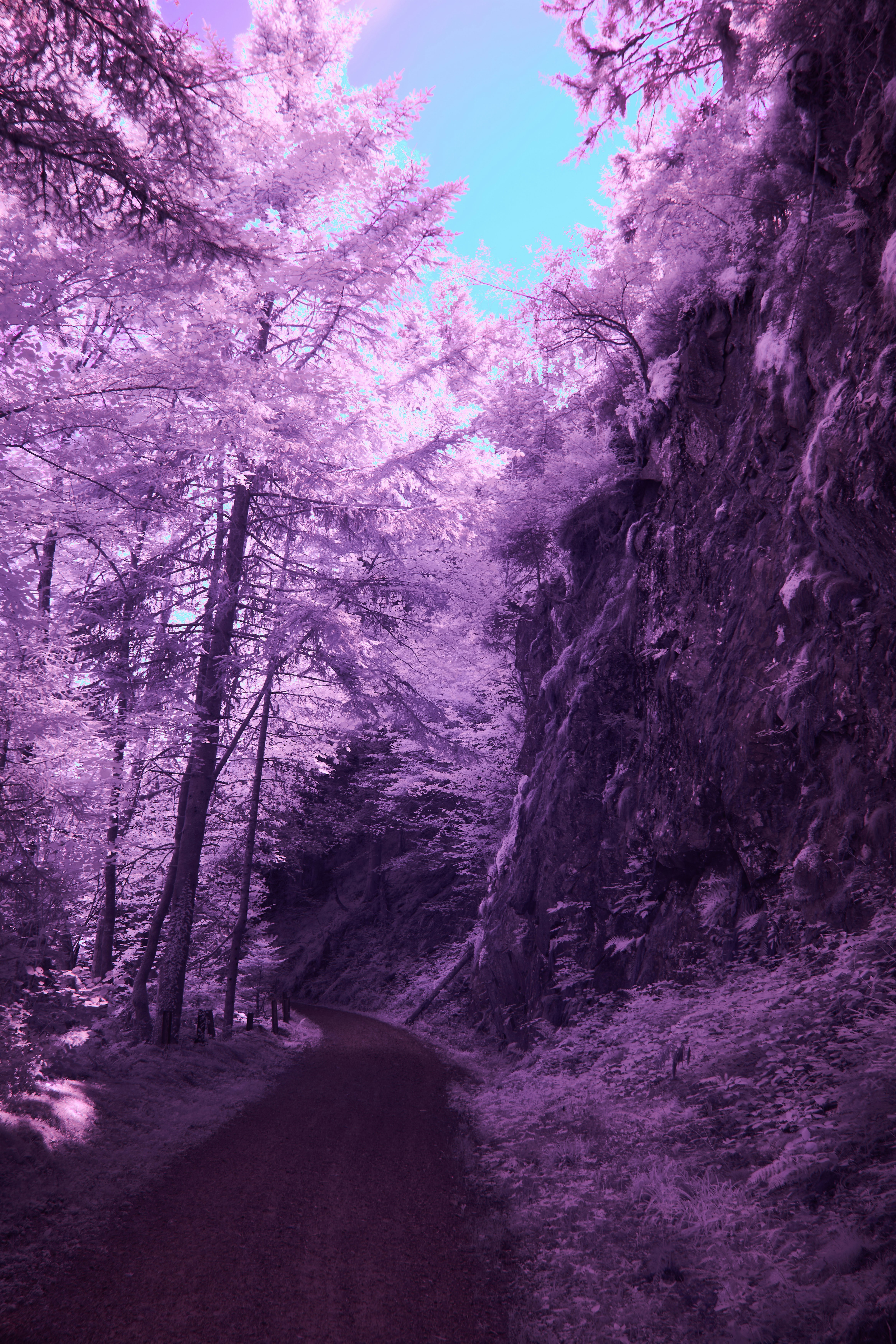 Photo by wolfgang_hasselmann