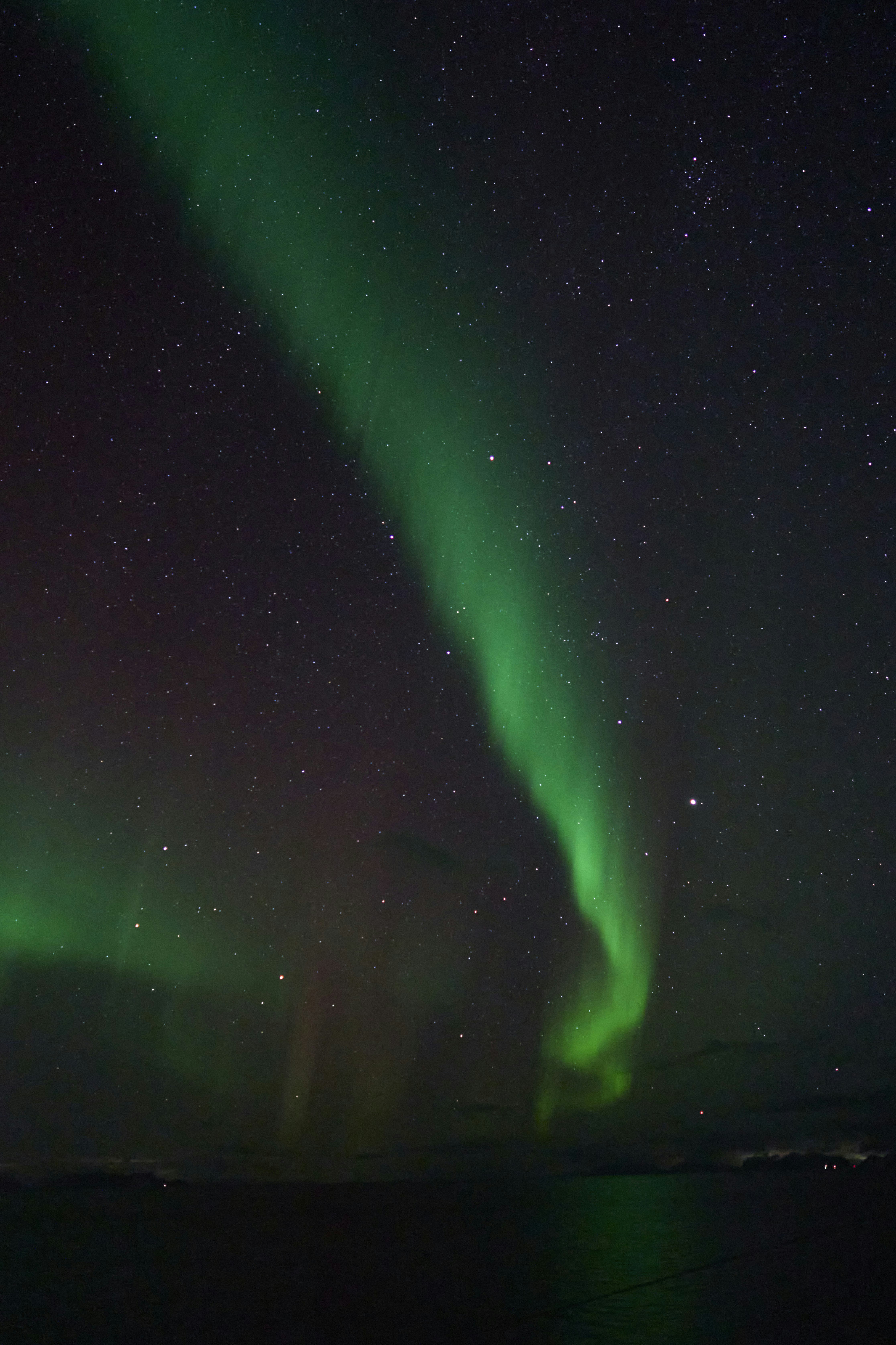 Photo by wolfgang_hasselmann