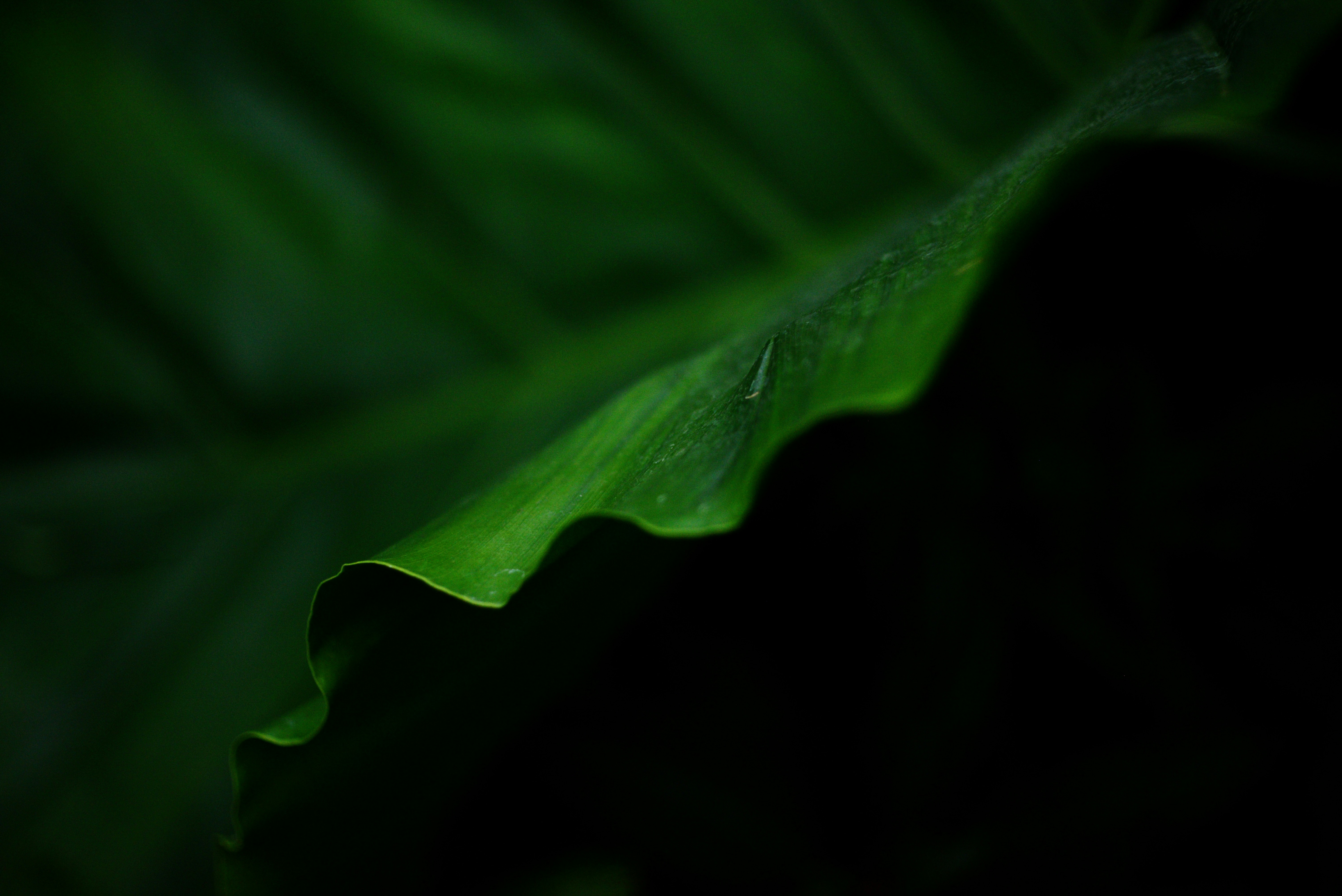 Photo by cherstve_pechivo