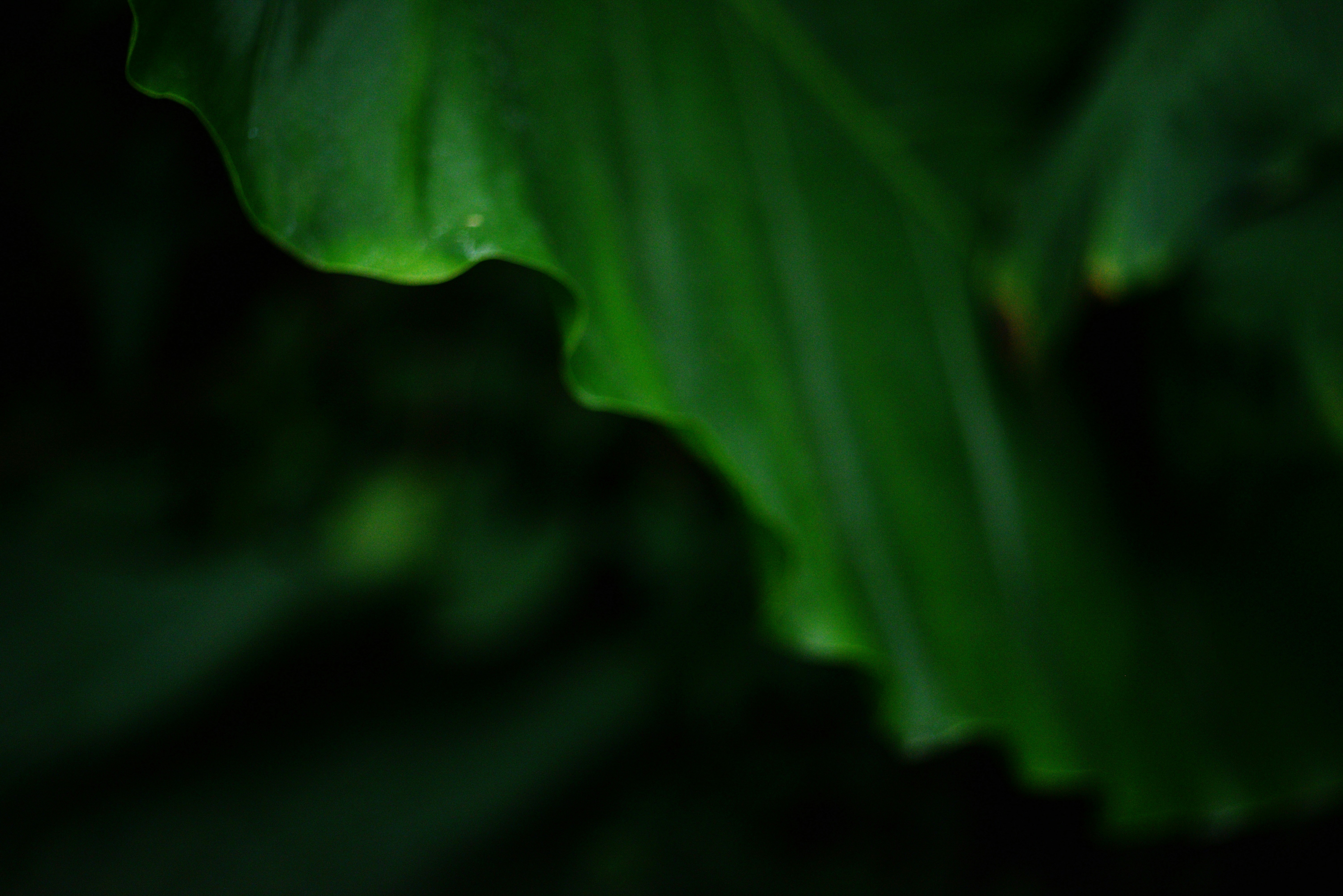 Photo by cherstve_pechivo