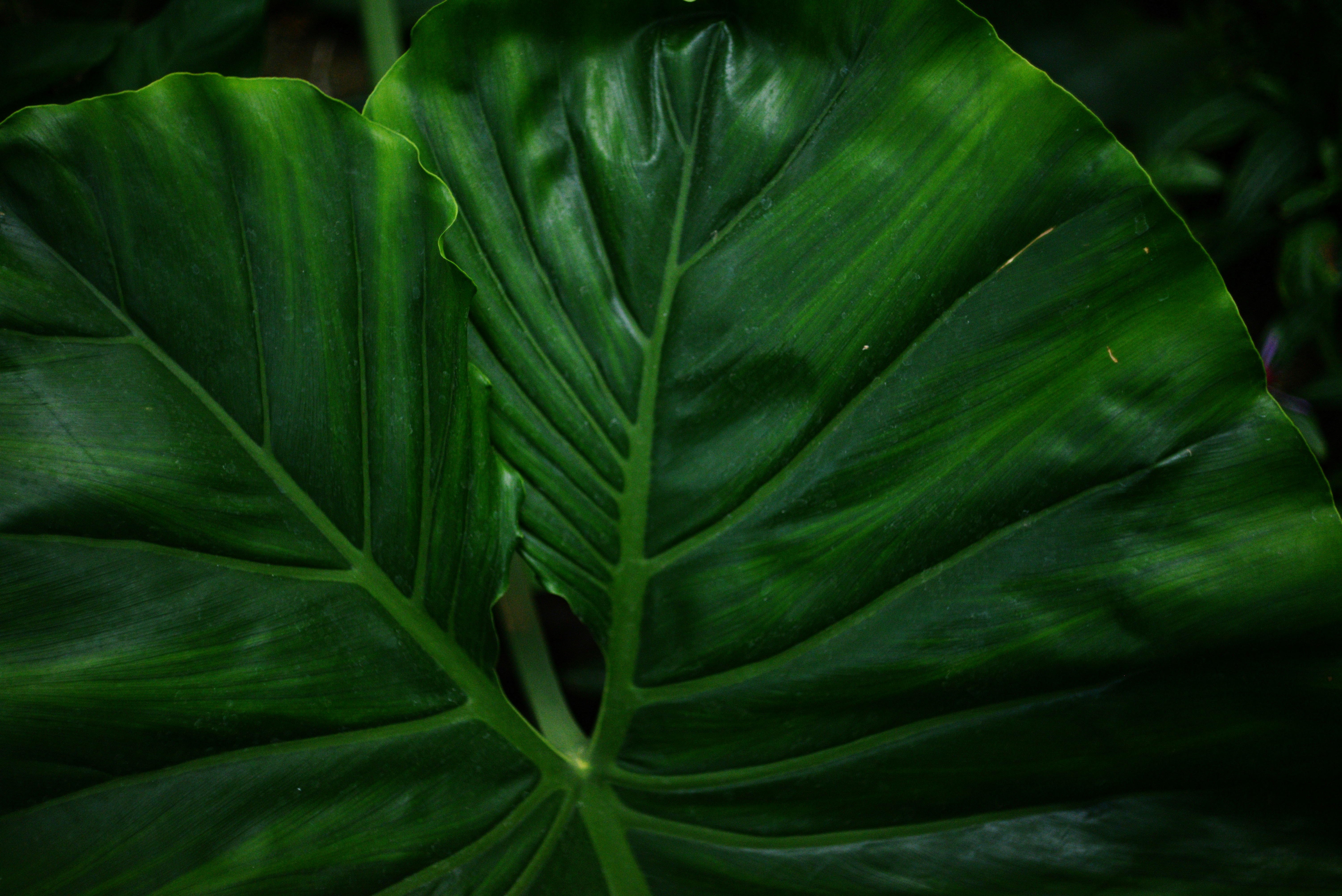 Photo by cherstve_pechivo