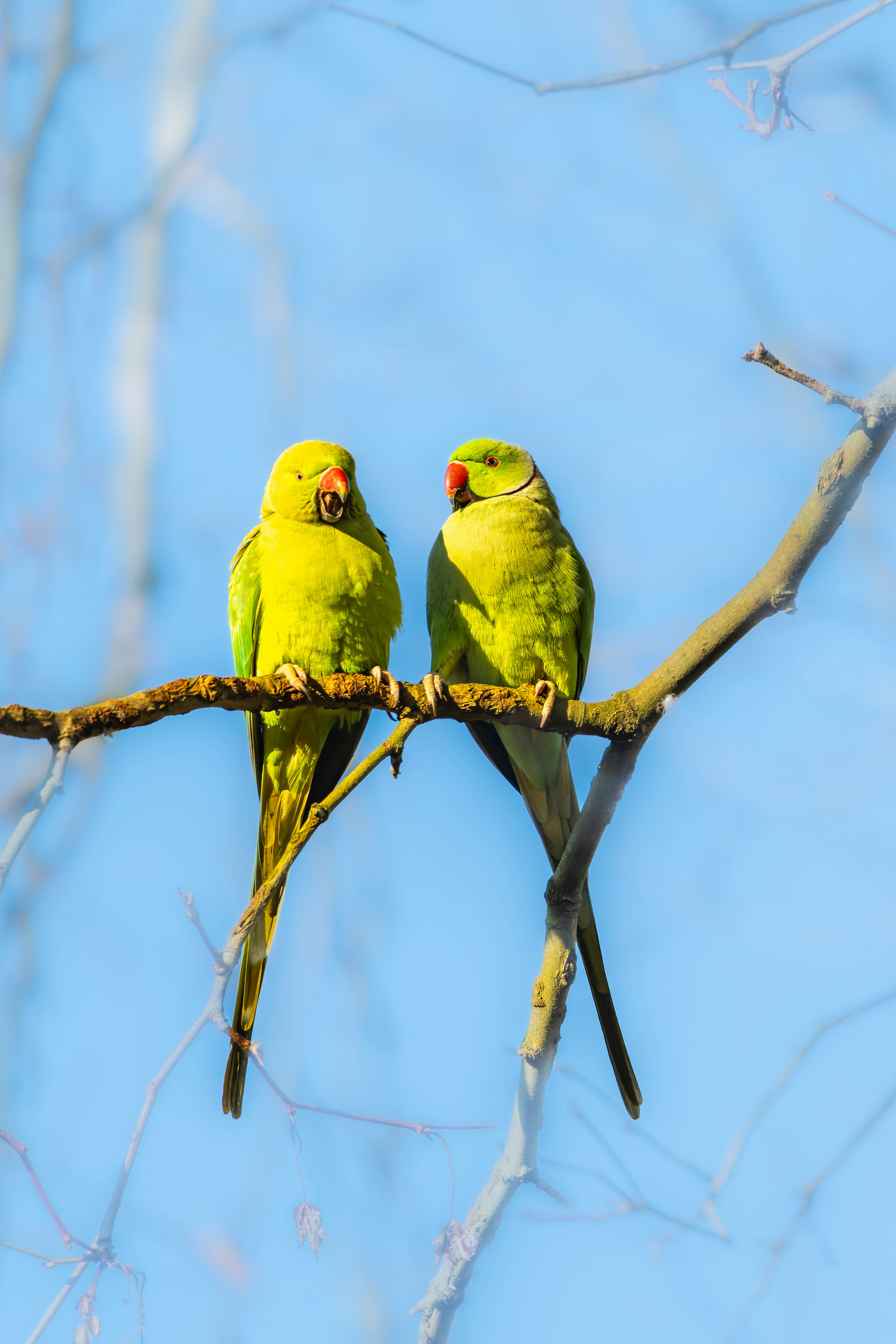 Photo by siegfriedpoepperl