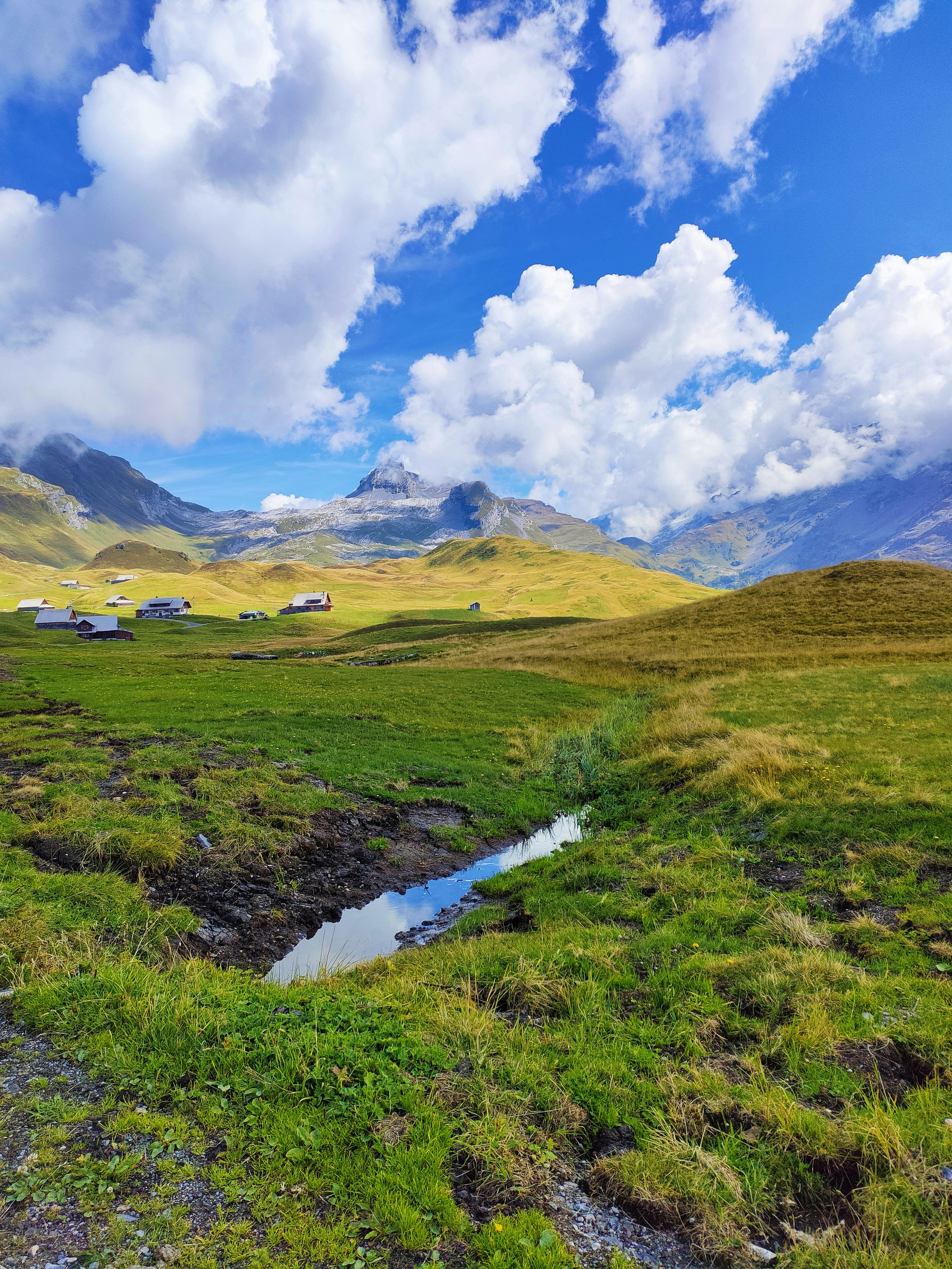 Un petit ruisseau qui coule à travers un champ verdoyant