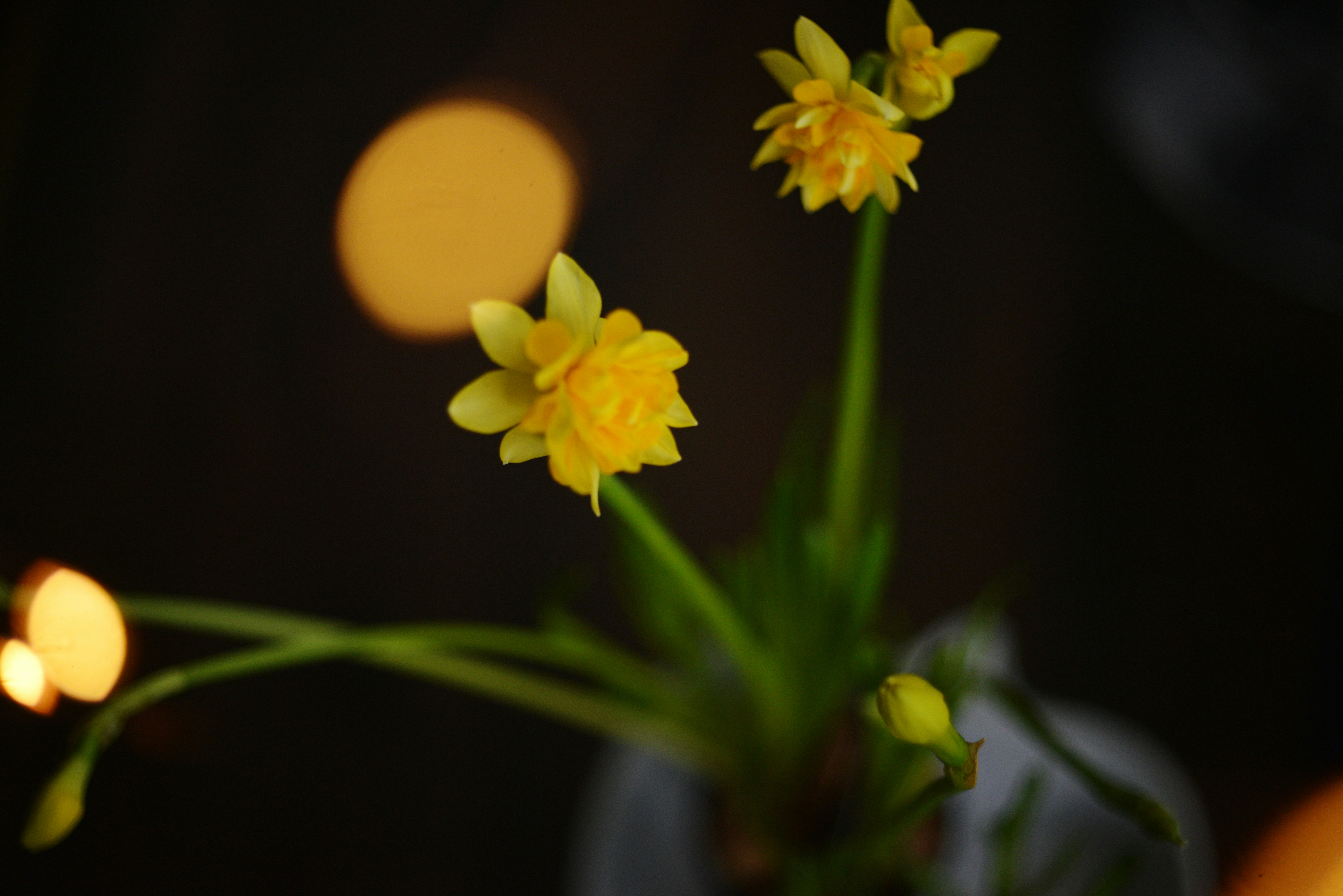 Photo by cherstve_pechivo