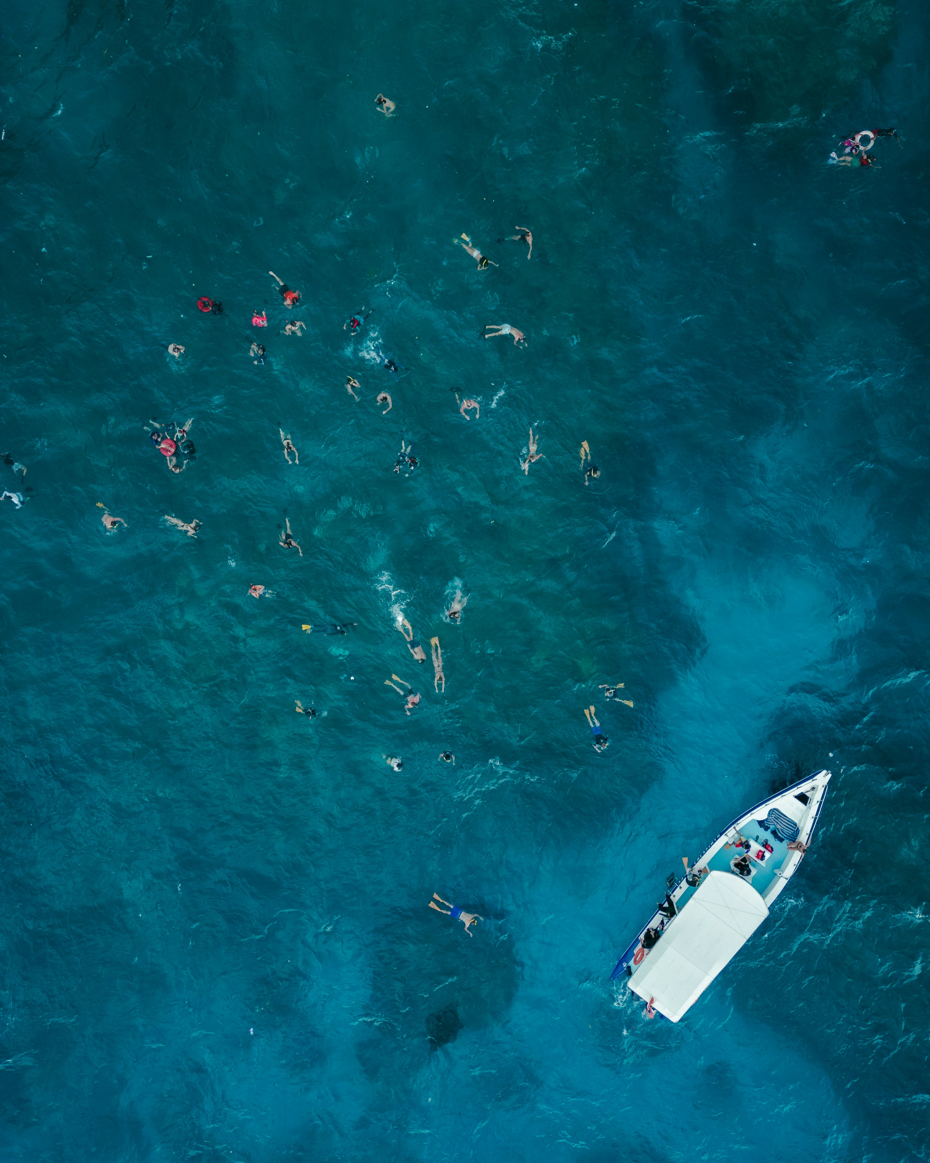 Eine Gruppe von Menschen, die im Meer schwimmen