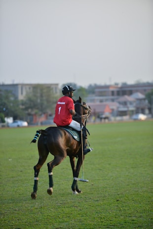 A man riding on the back of a brown horse