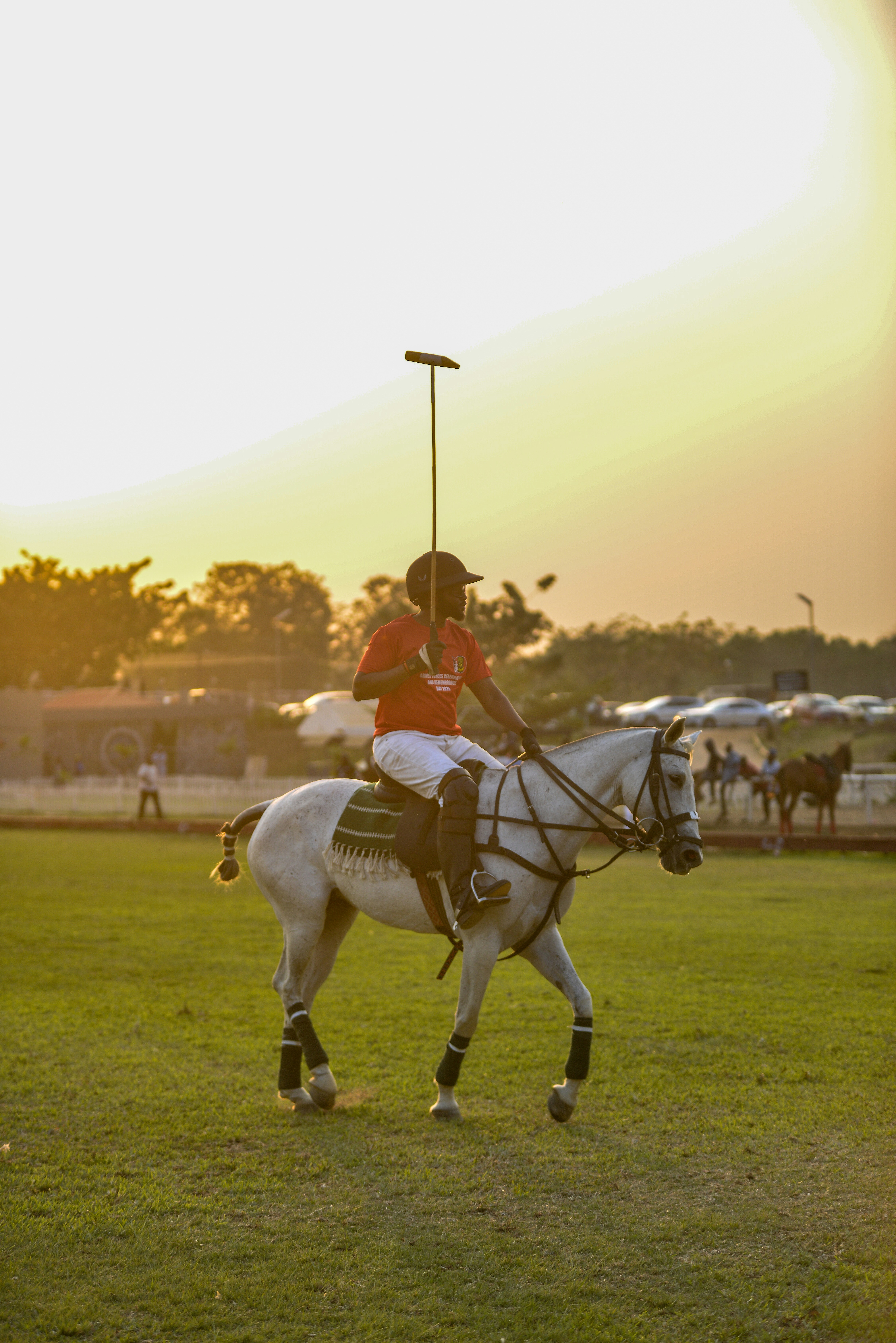 Un joueur de polo chevauchant un cheval blanc sur un terrain