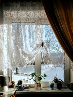 A kitchen window with a potted plant in the window sill