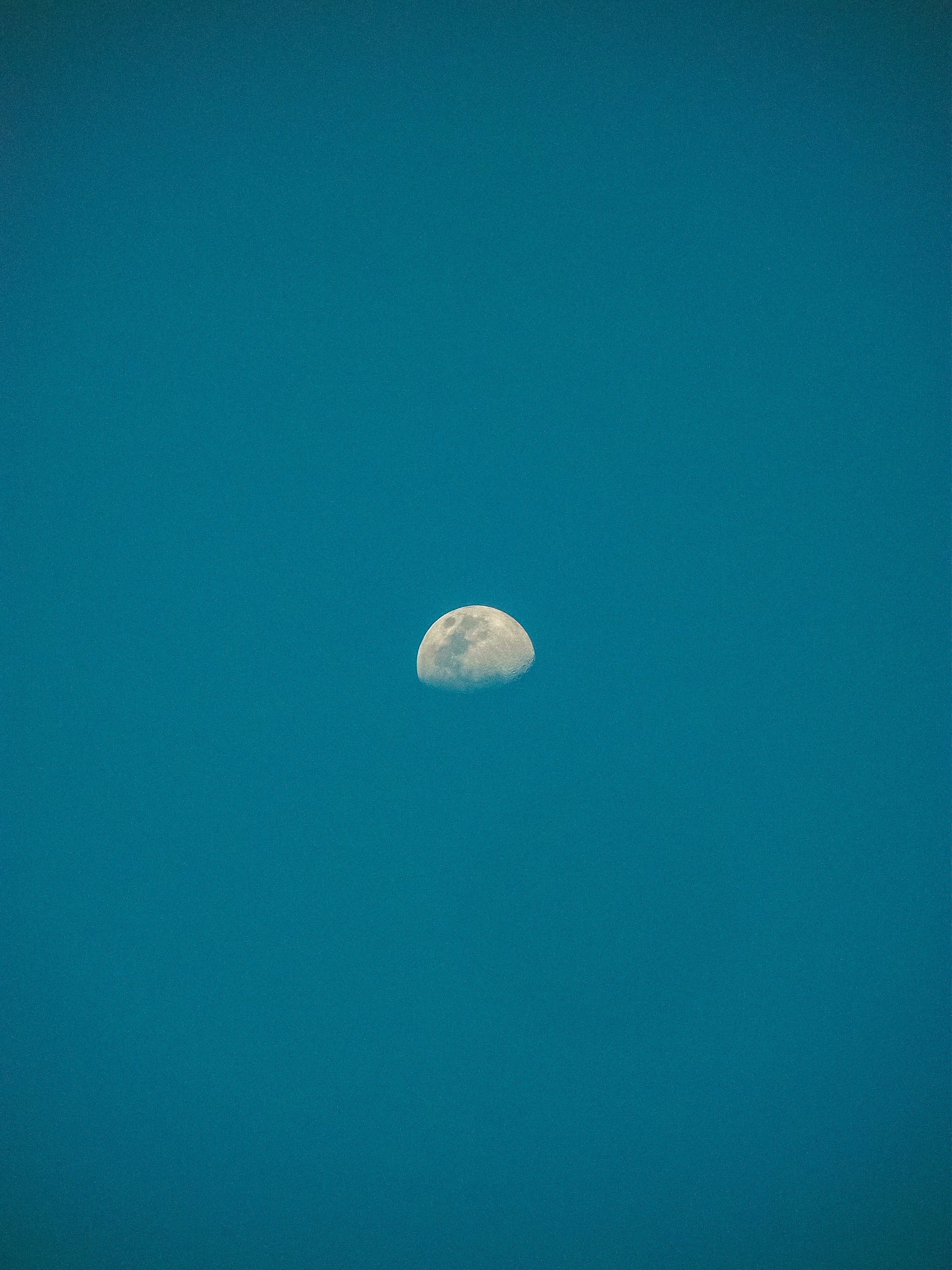 Photo by honney
