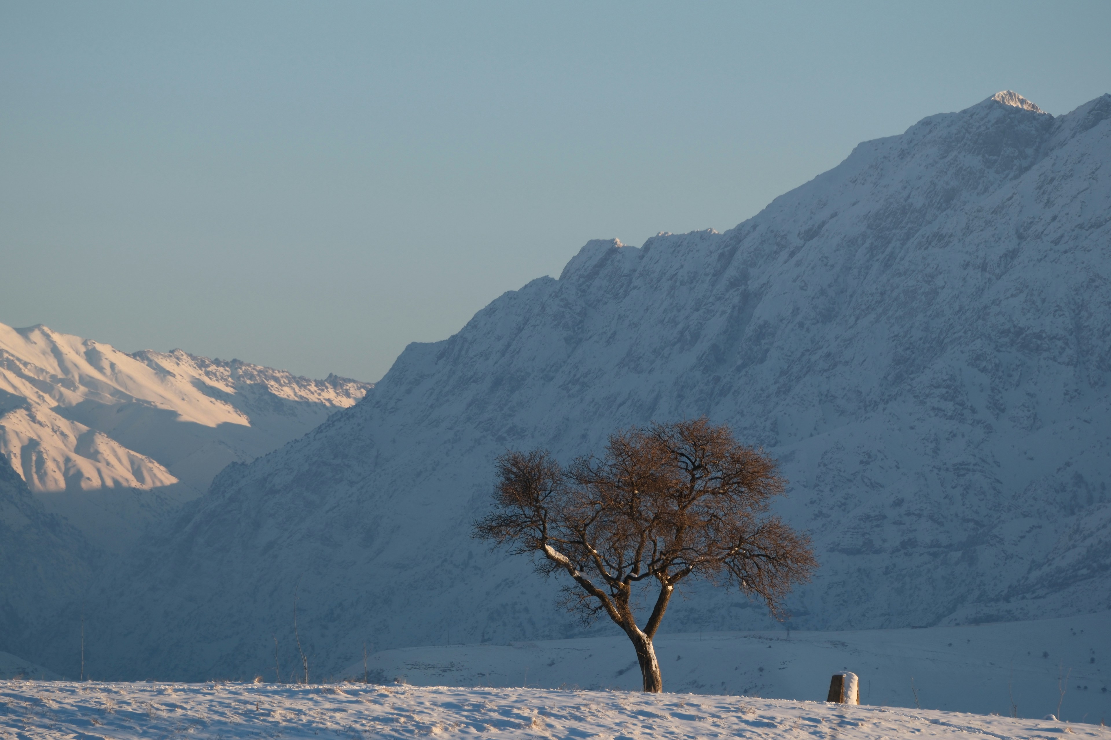 Photo by kostya_chou