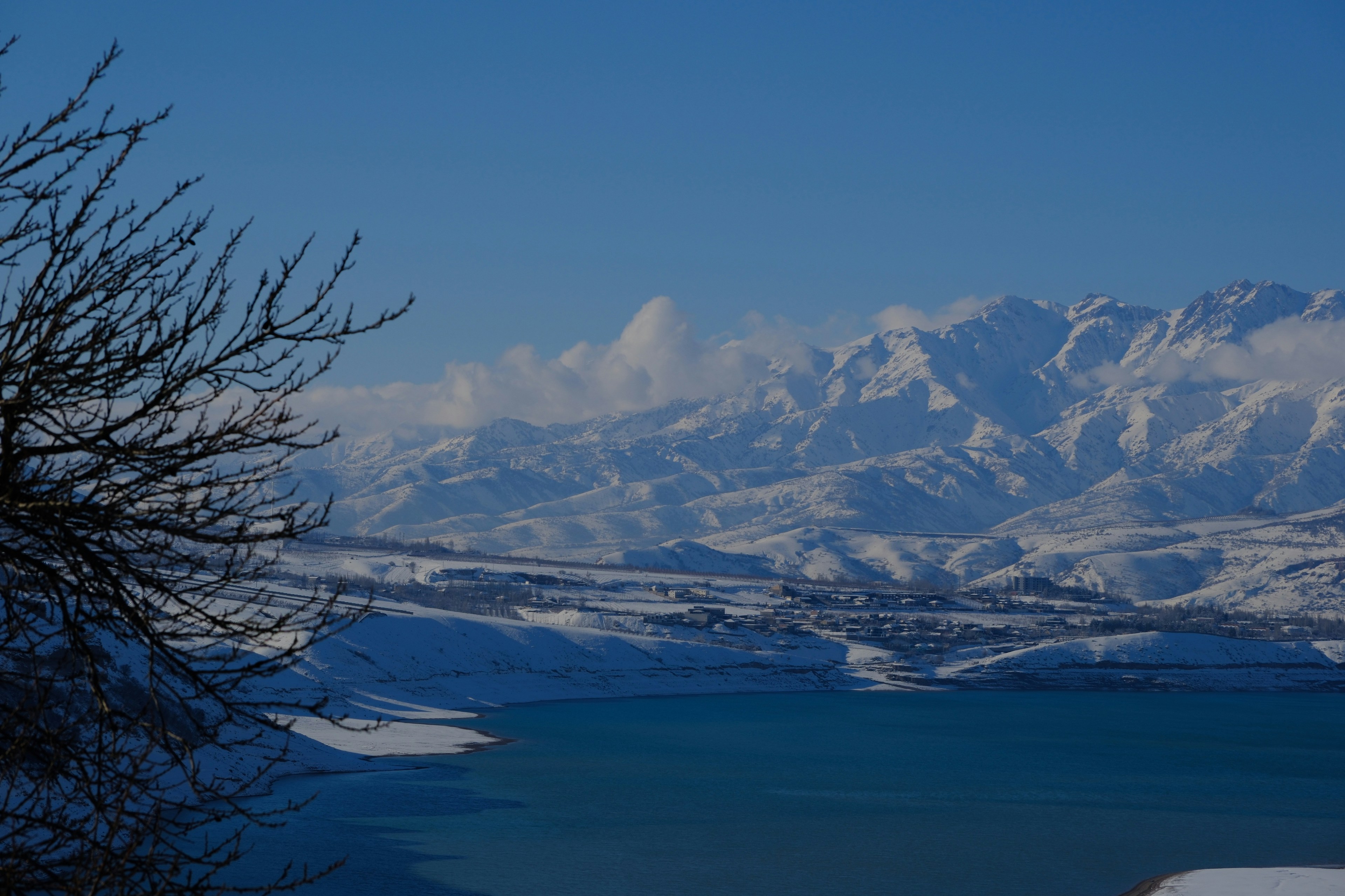 Photo by kostya_chou