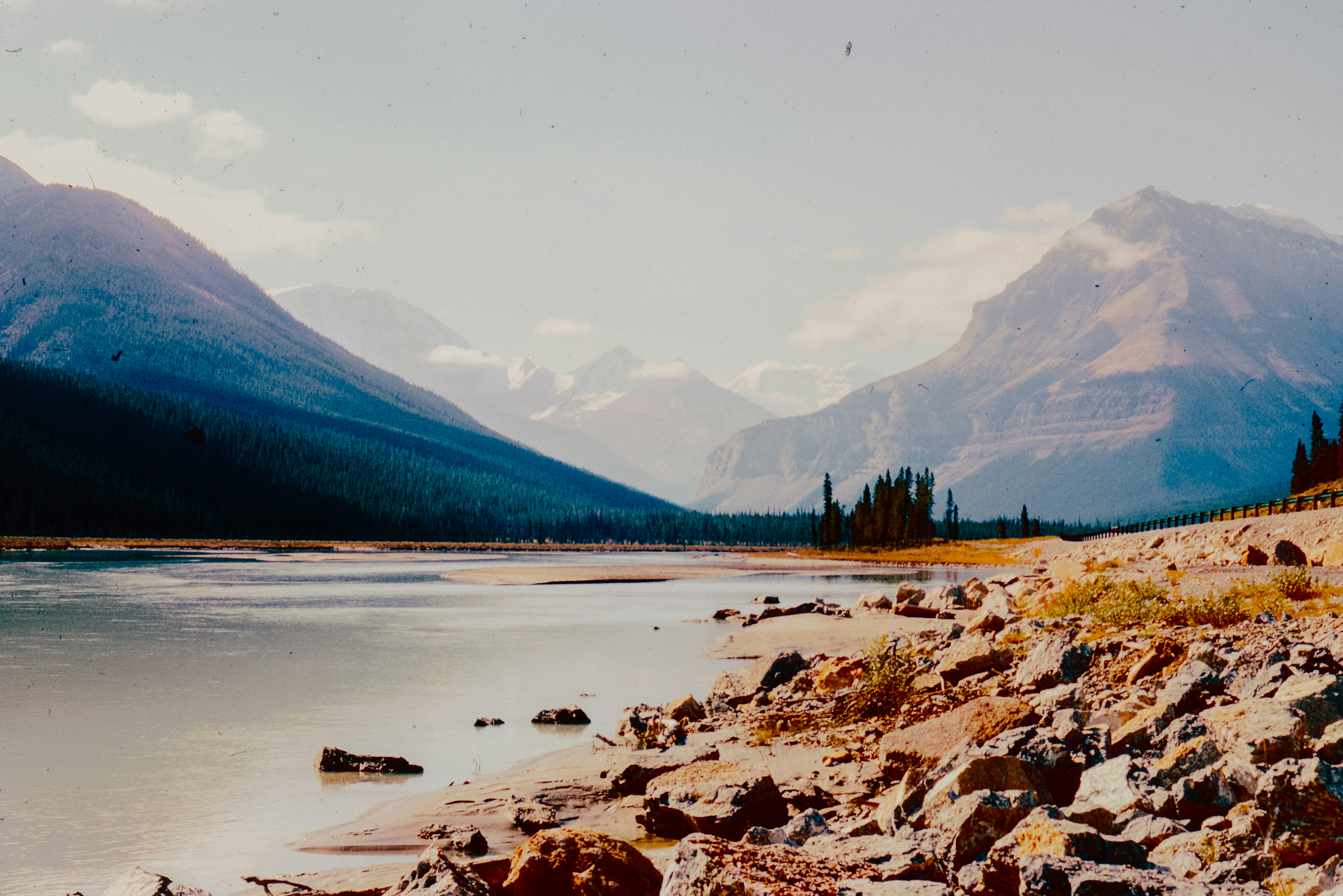 Photo by anniespratt