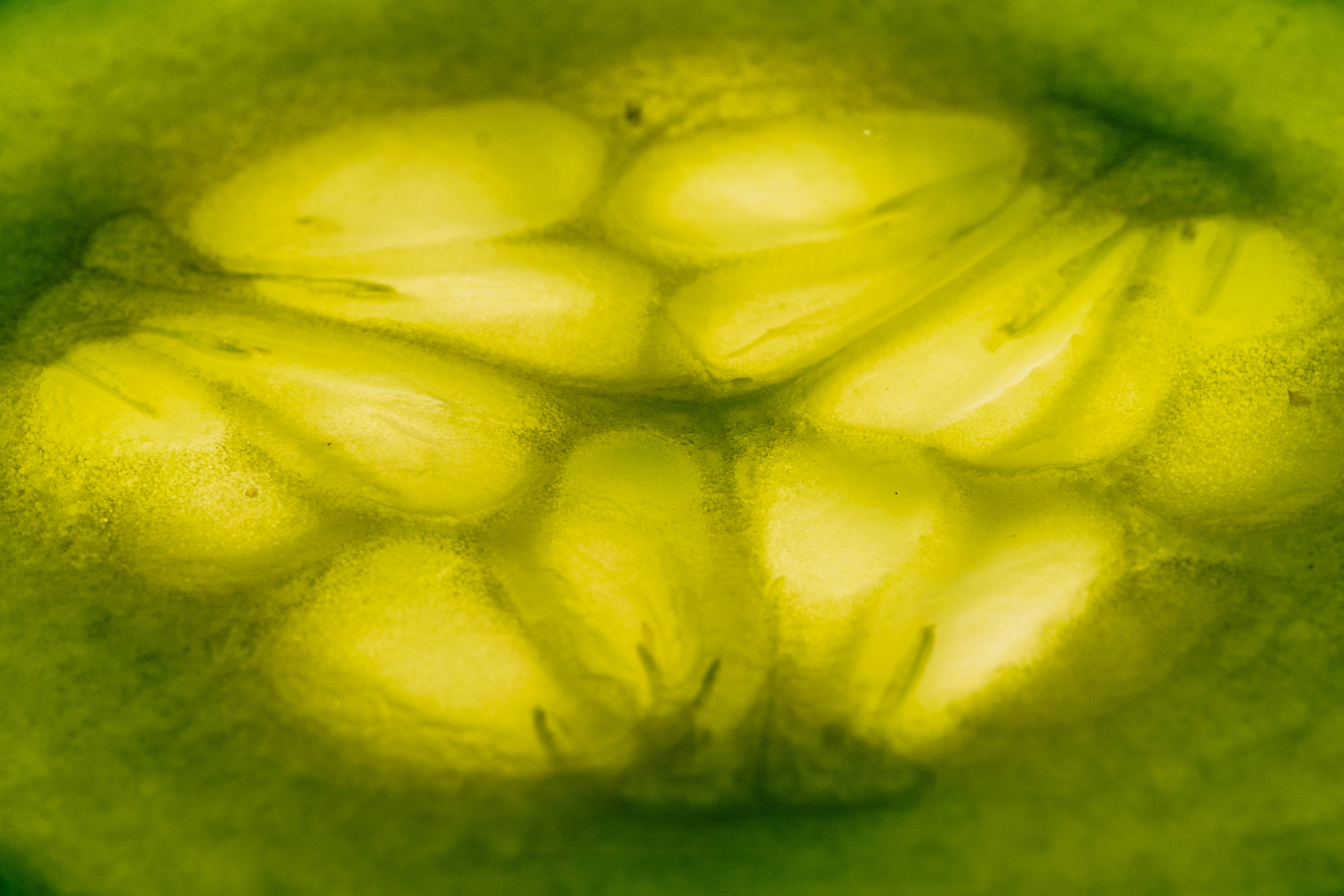 A close up view of a green apple