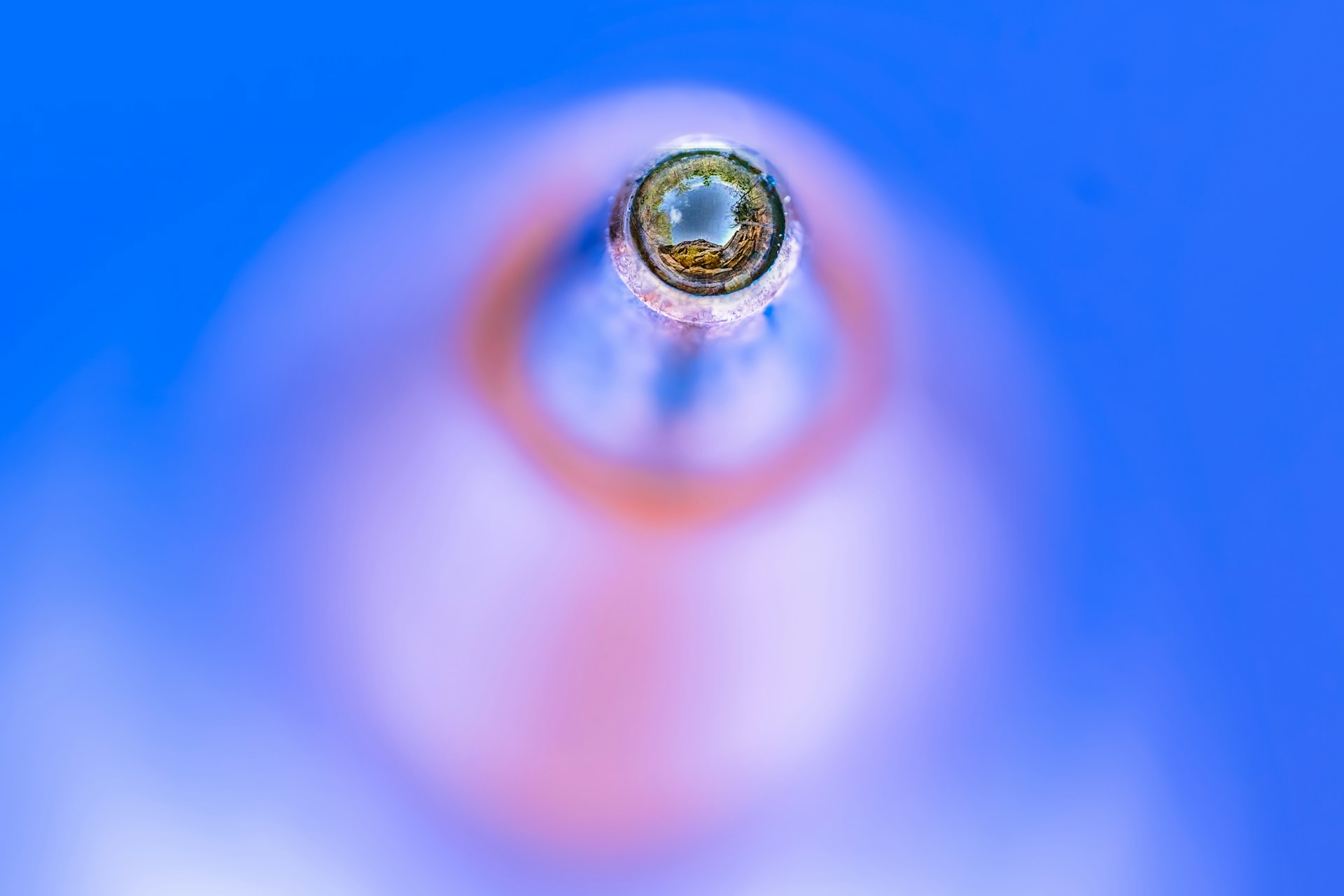 A drop of water with a blue background