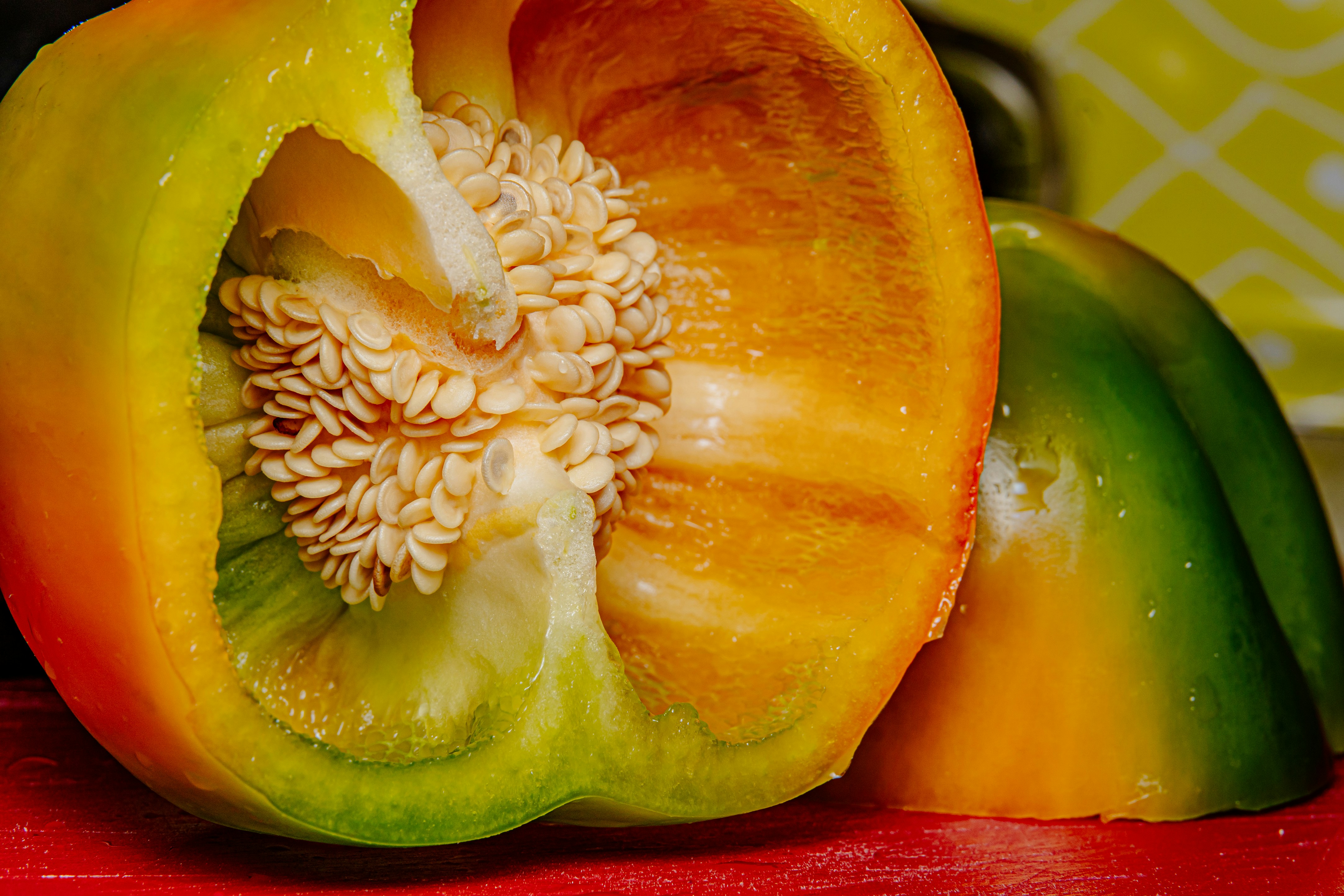 Photo by abushihabmarey