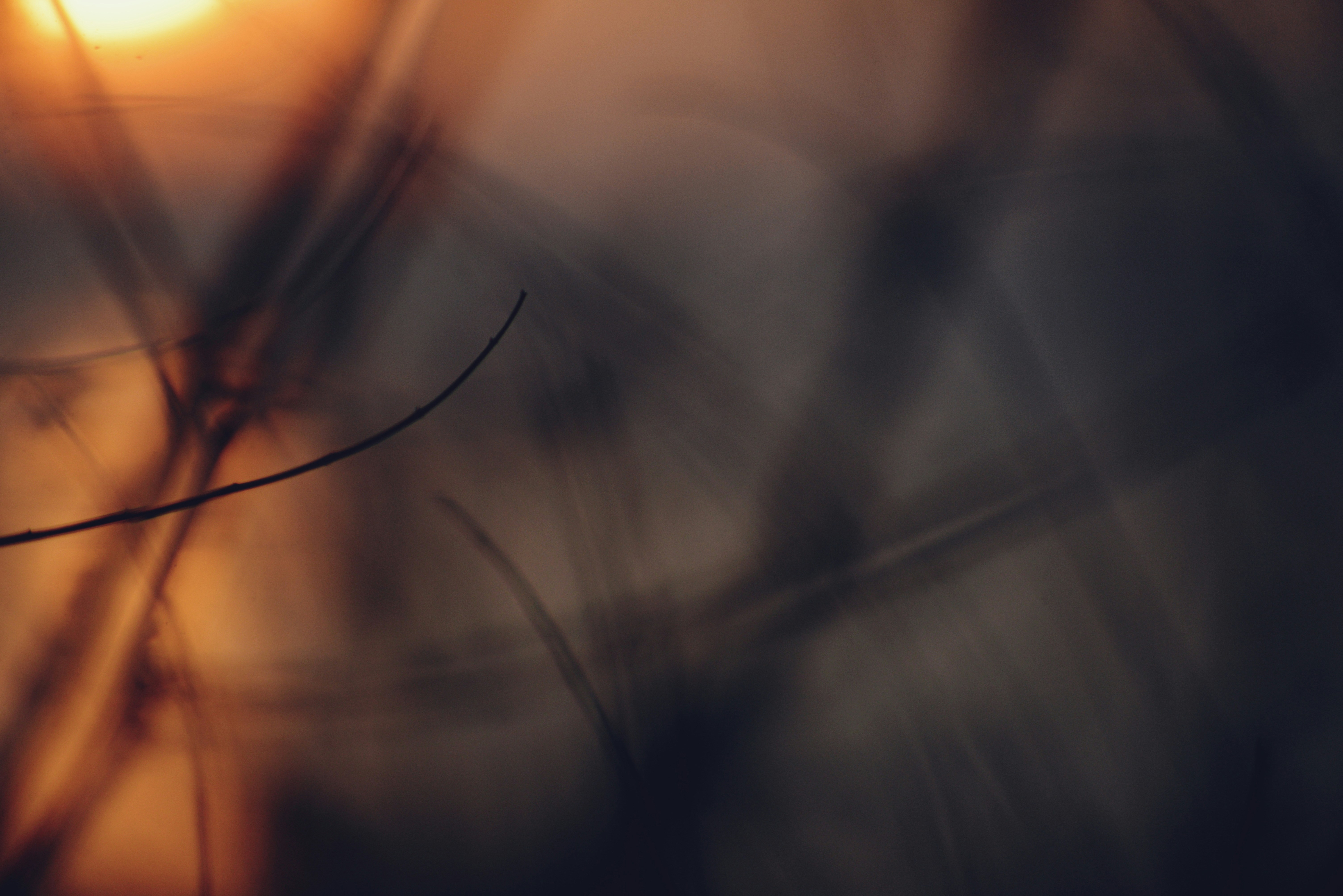 Photo by cherstve_pechivo