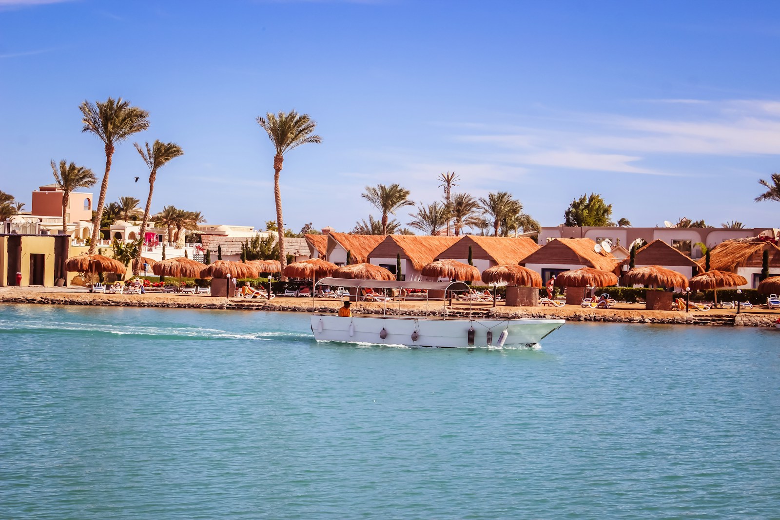 Red Sea coast with palms and turquoise water