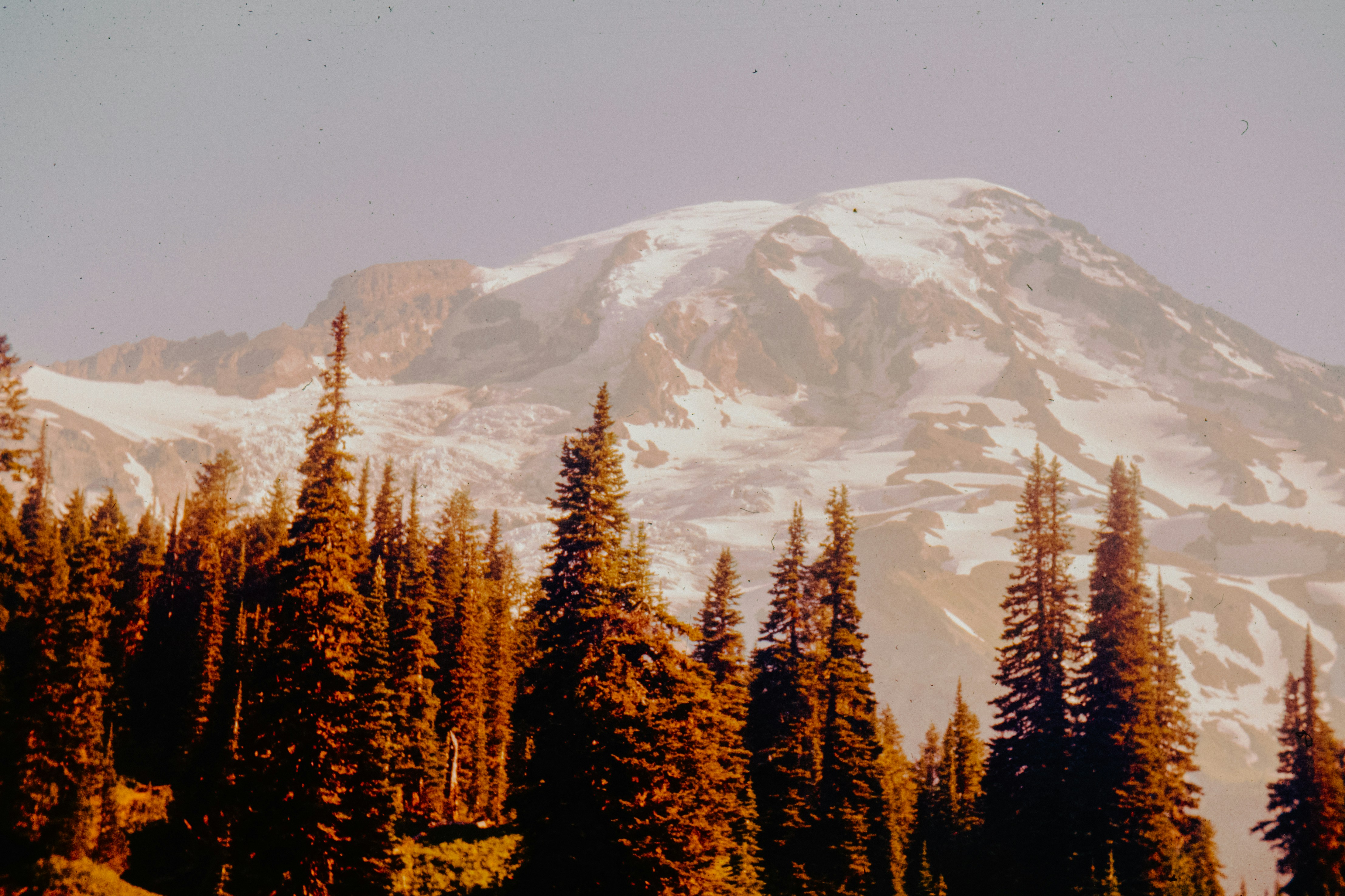 Photo by anniespratt