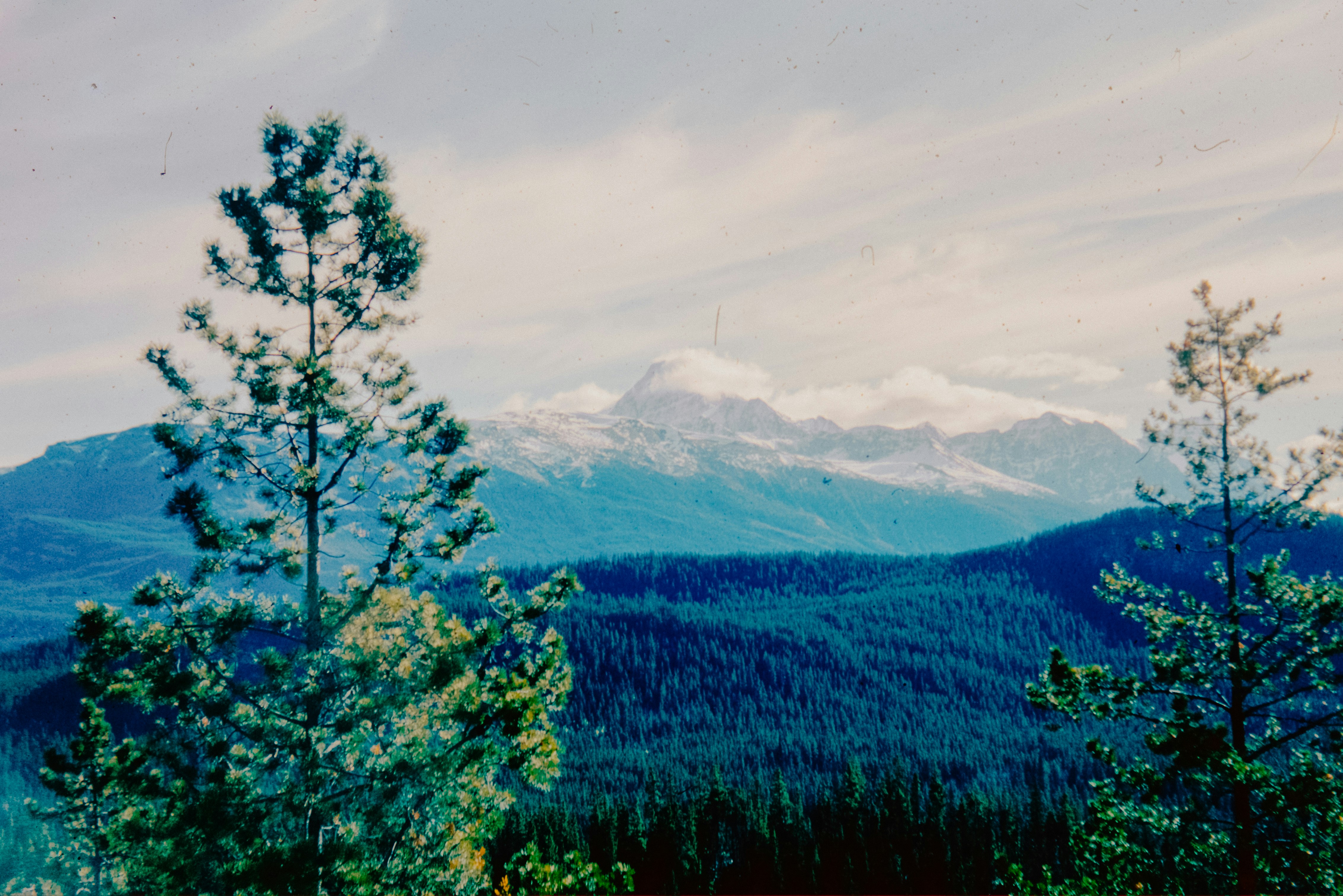 Photo by anniespratt