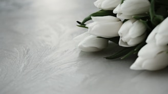 A bouquet of white tulips on a table