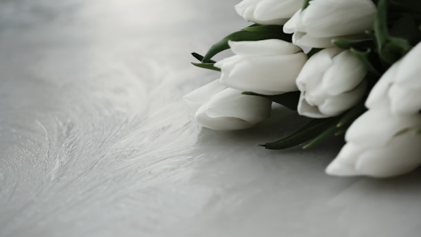 A bouquet of white tulips on a table