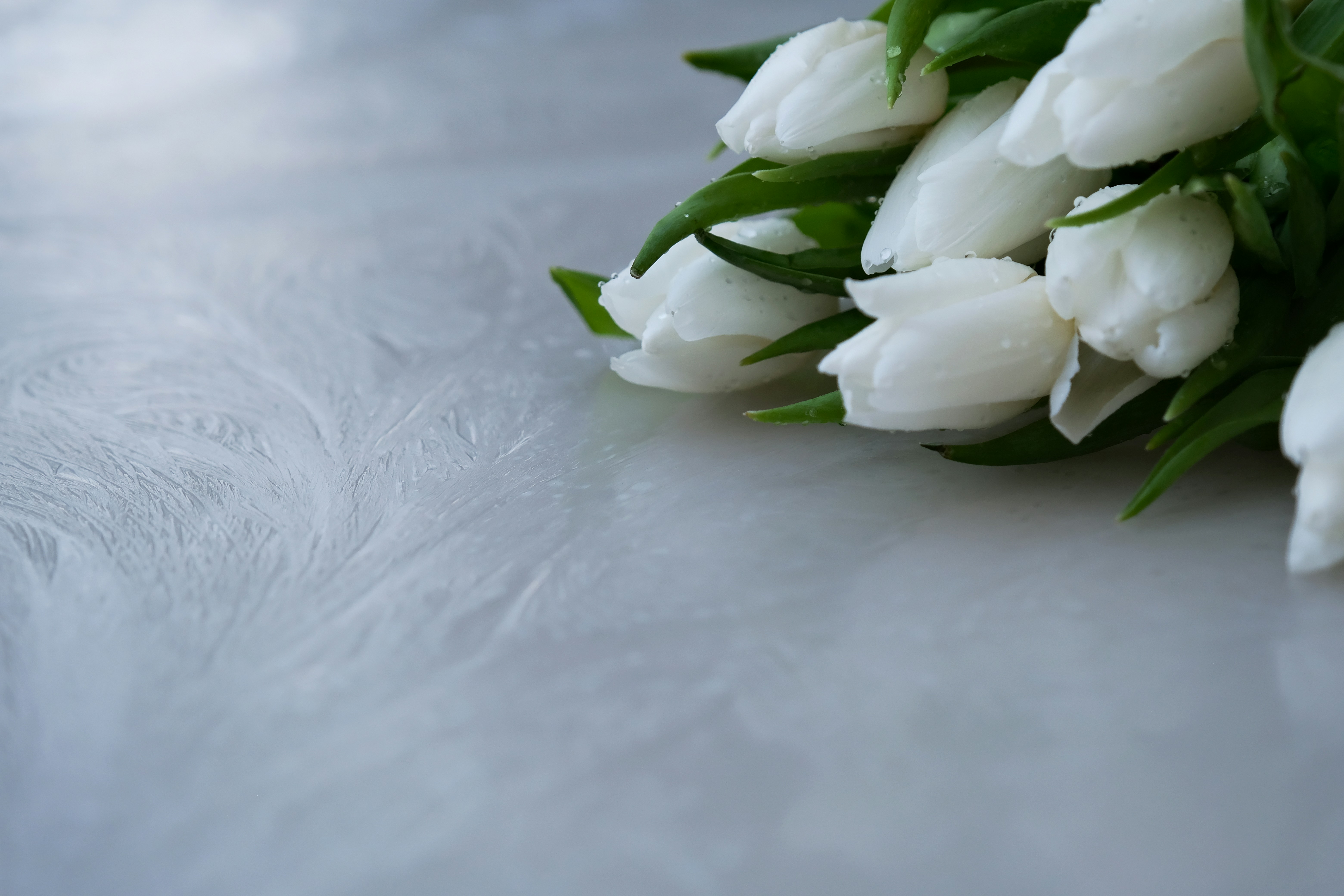 Green Flowers: The Case for No Colour at All