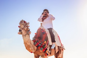 A man riding on the back of a camel