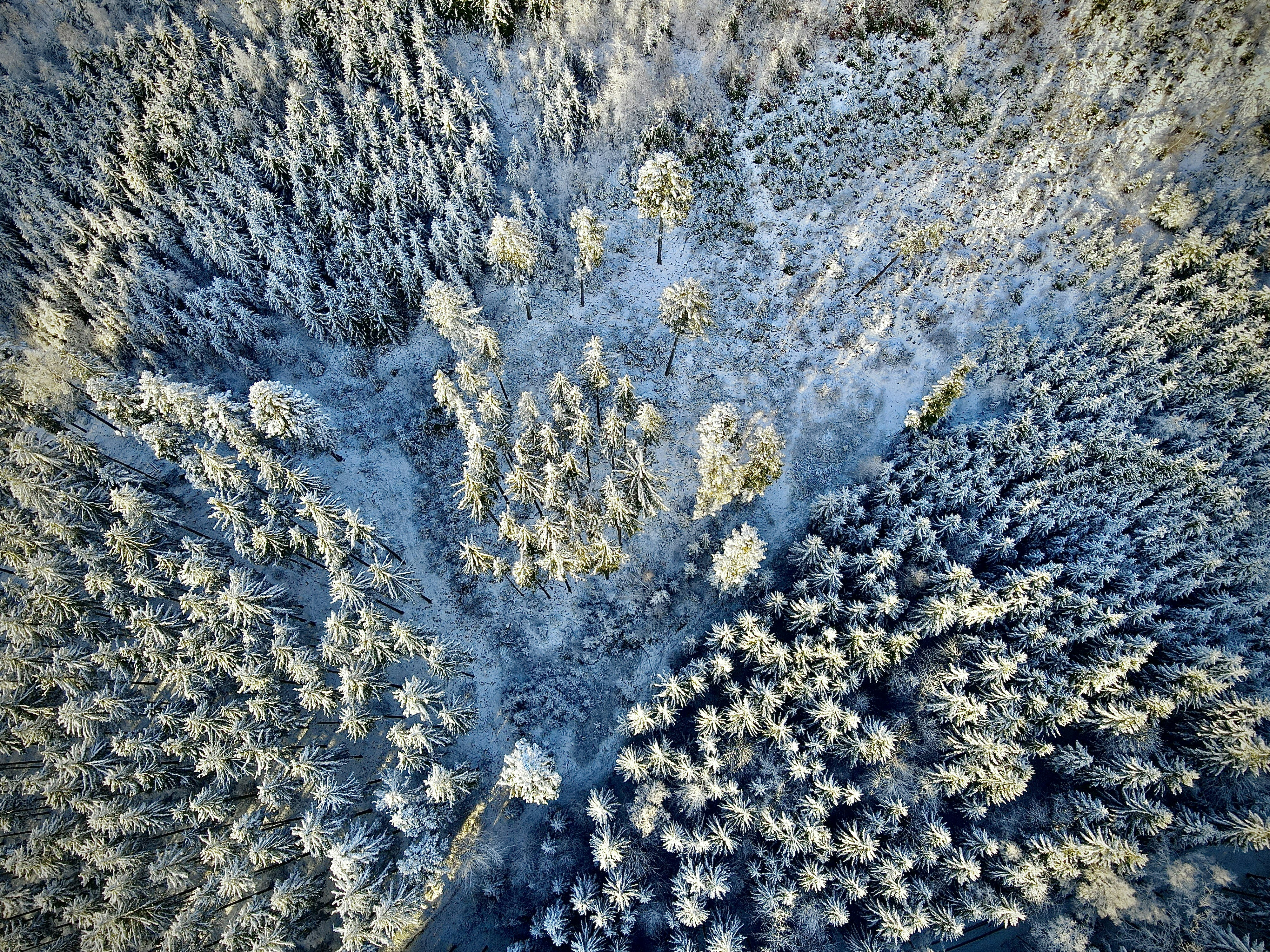 Photo by michaelarimakova