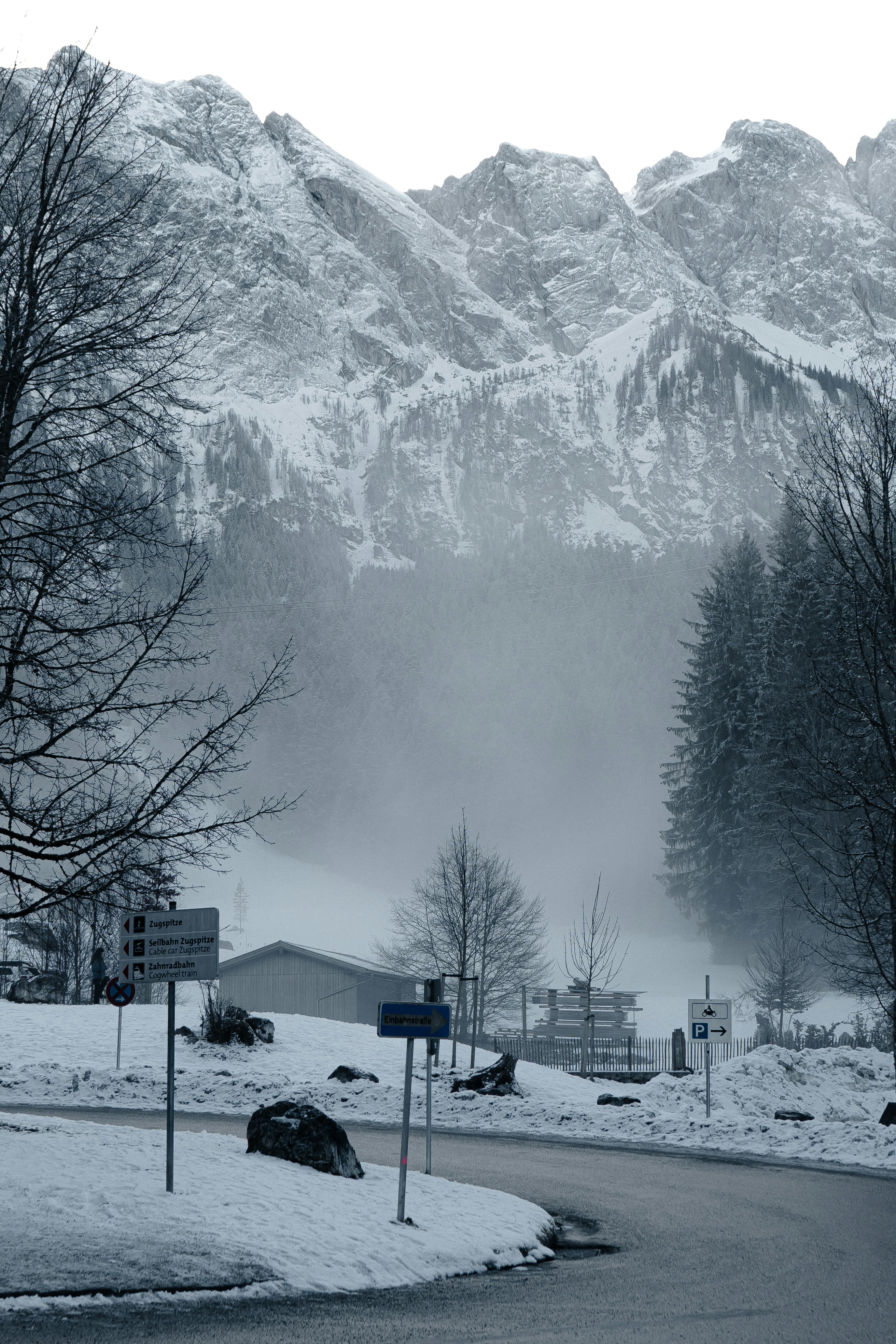 Photo by thepollenpolin